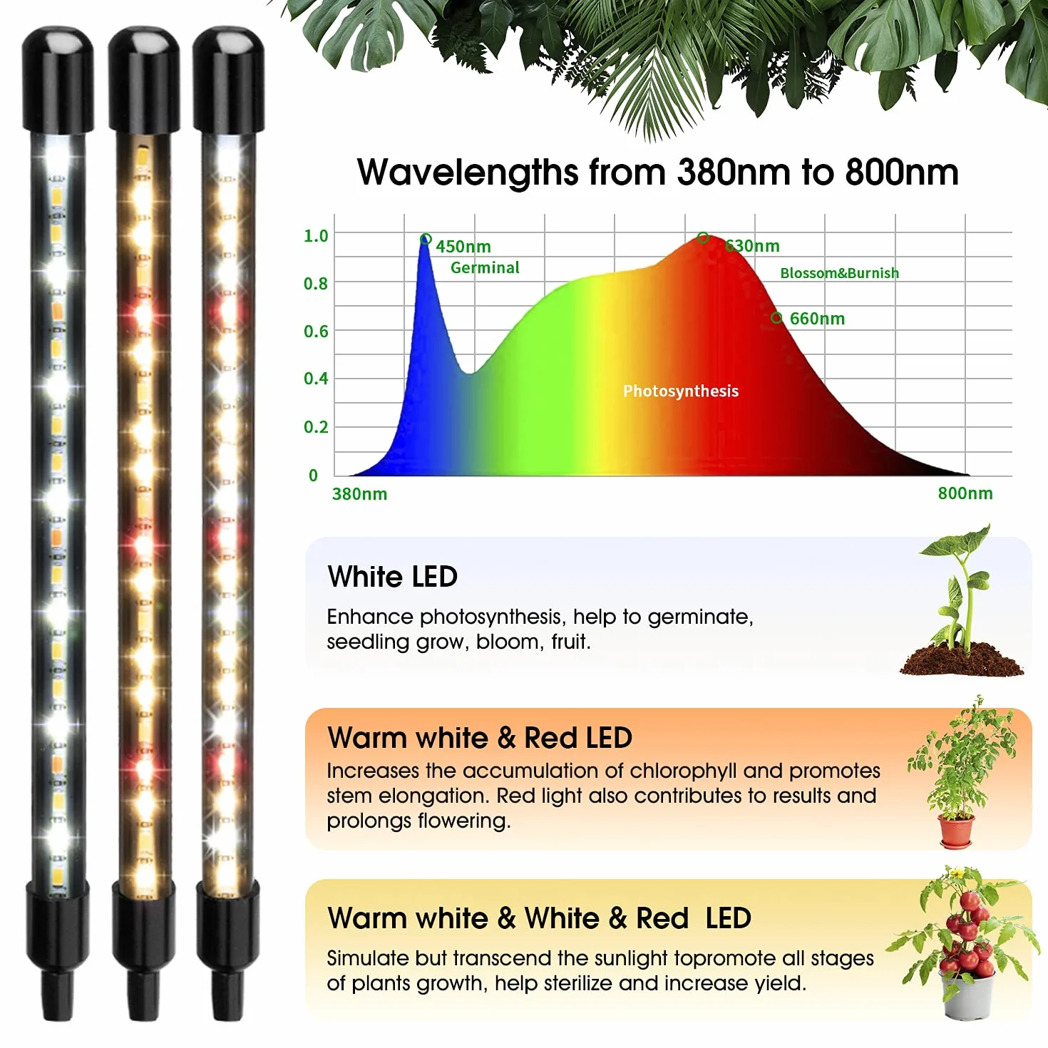 Wolezek Lampa LED do Roślin 80 Diod Pełne Spektrum 3000K/5000K/660nm z Programatorem Czasowym 10 Trybów Jasności