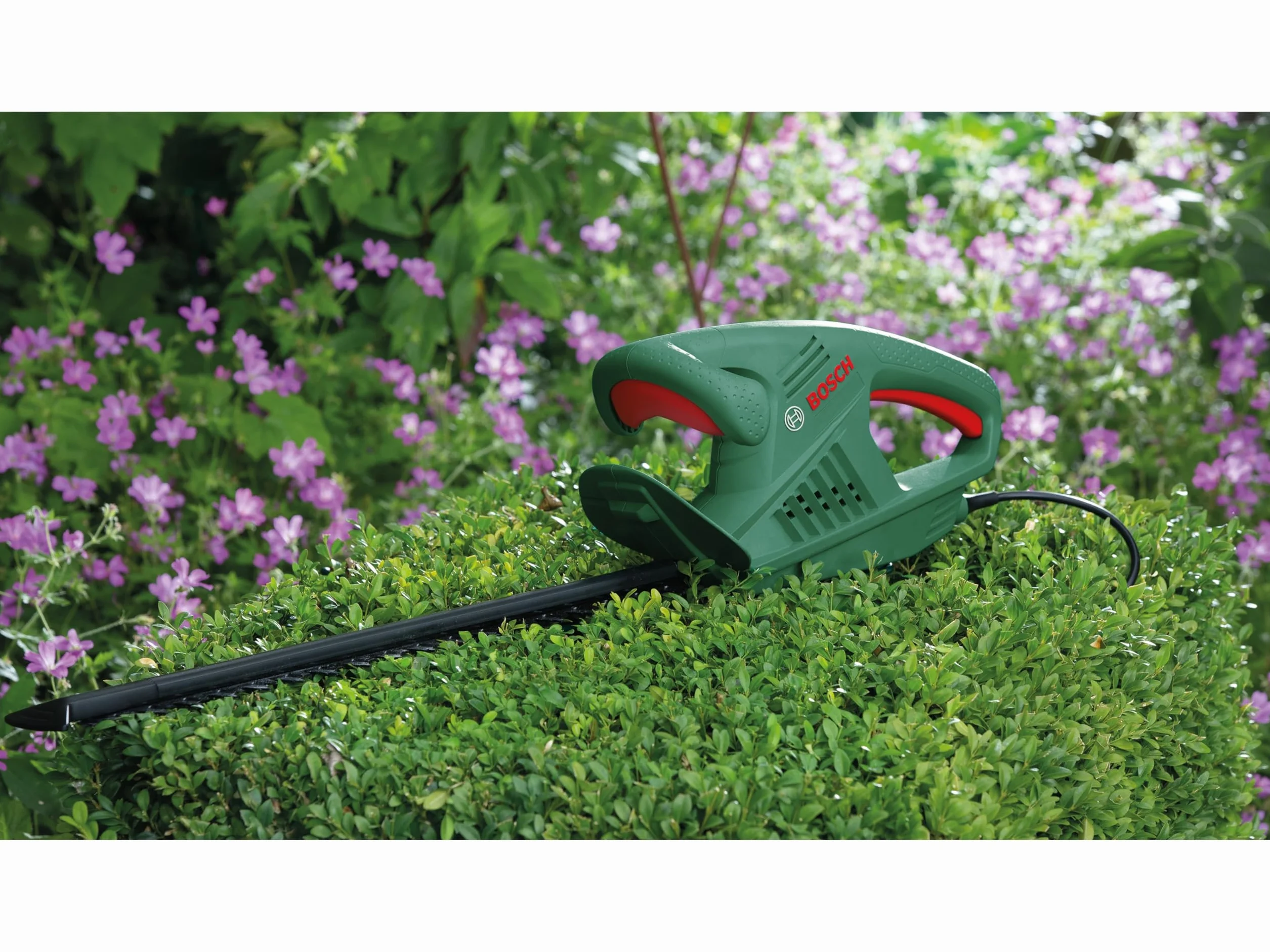 Sieciowy sekator EasyHedgeCut 45 firmy Bosch (420 W, długość listwy tnącej 45 cm, opakowanie kartonowe)