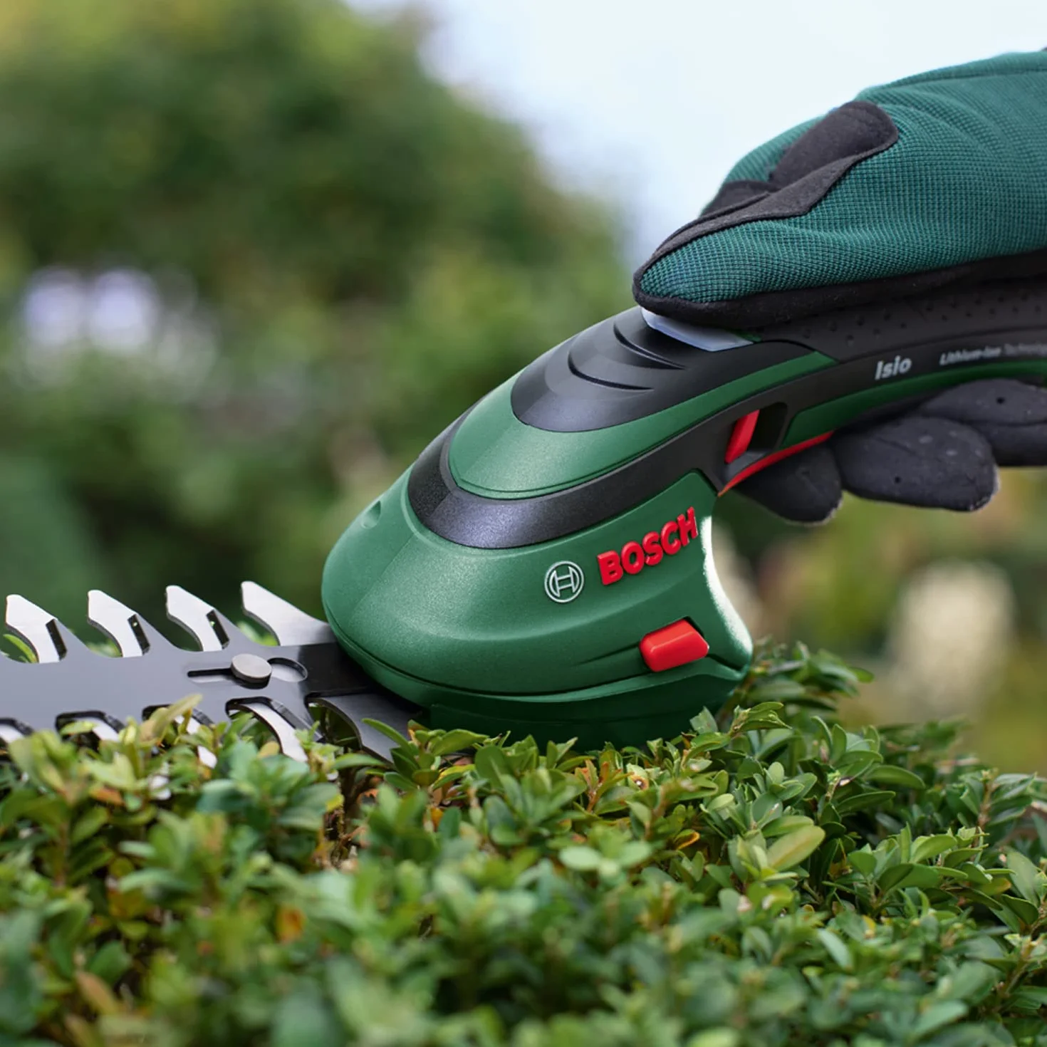 Bosch Isio Zestaw z akumulatorowymi nożycami do przycinania krawędzi (3,6 V, długość ostrza: 12 cm, odstęp pomiędzy nożami: 8 mm, rękawice ogrodowe XL, Zielone – Amazon Edition