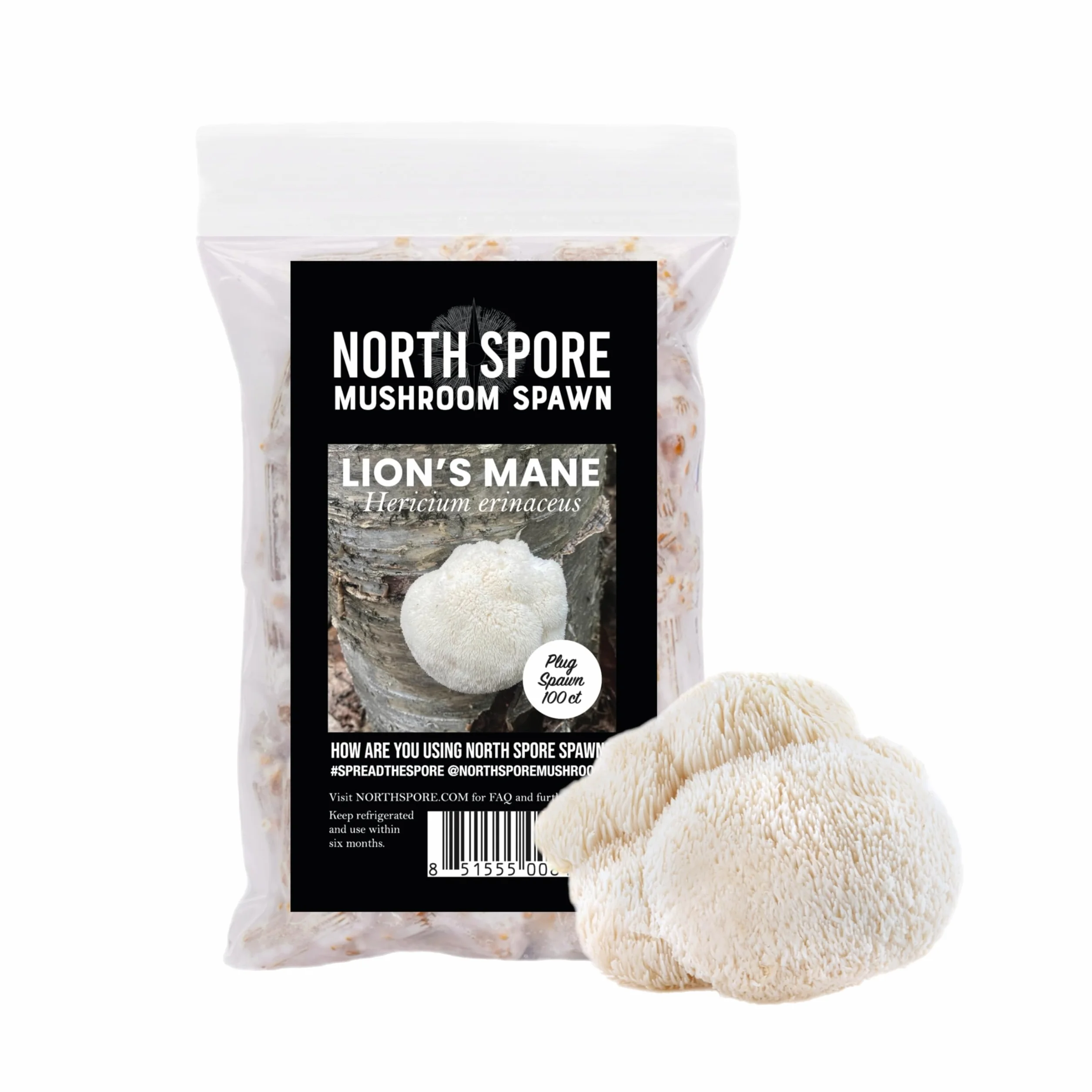 North Spore Zestaw do szczepień kłód | 100 ct Shiitake, lwa grzyba i niebieska ostryga | wosk, koziołki, wiertło, do uprawy grzybów na kłodach zewnętrznych, najwyższej jakości grzybów, ręcznie robione