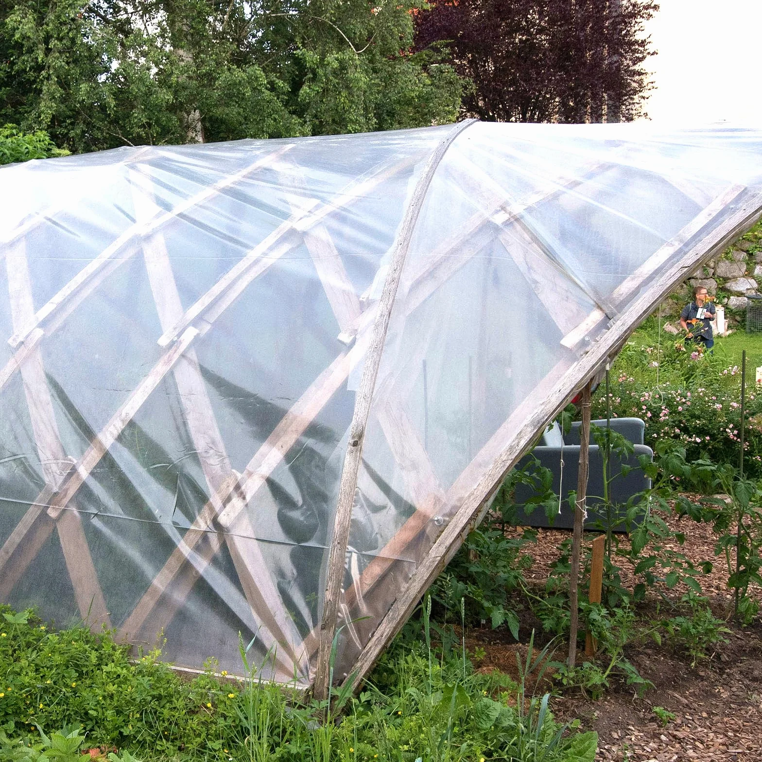 VOSSOT Folia szklarniowa PE 2 x 3 m, przezroczysta, odporna na rozerwanie plandeka okryciowa do ogrodu i roślin, odporna na warunki atmosferyczne, folia izolacyjna do okien, szklarni na pomidory, DIY