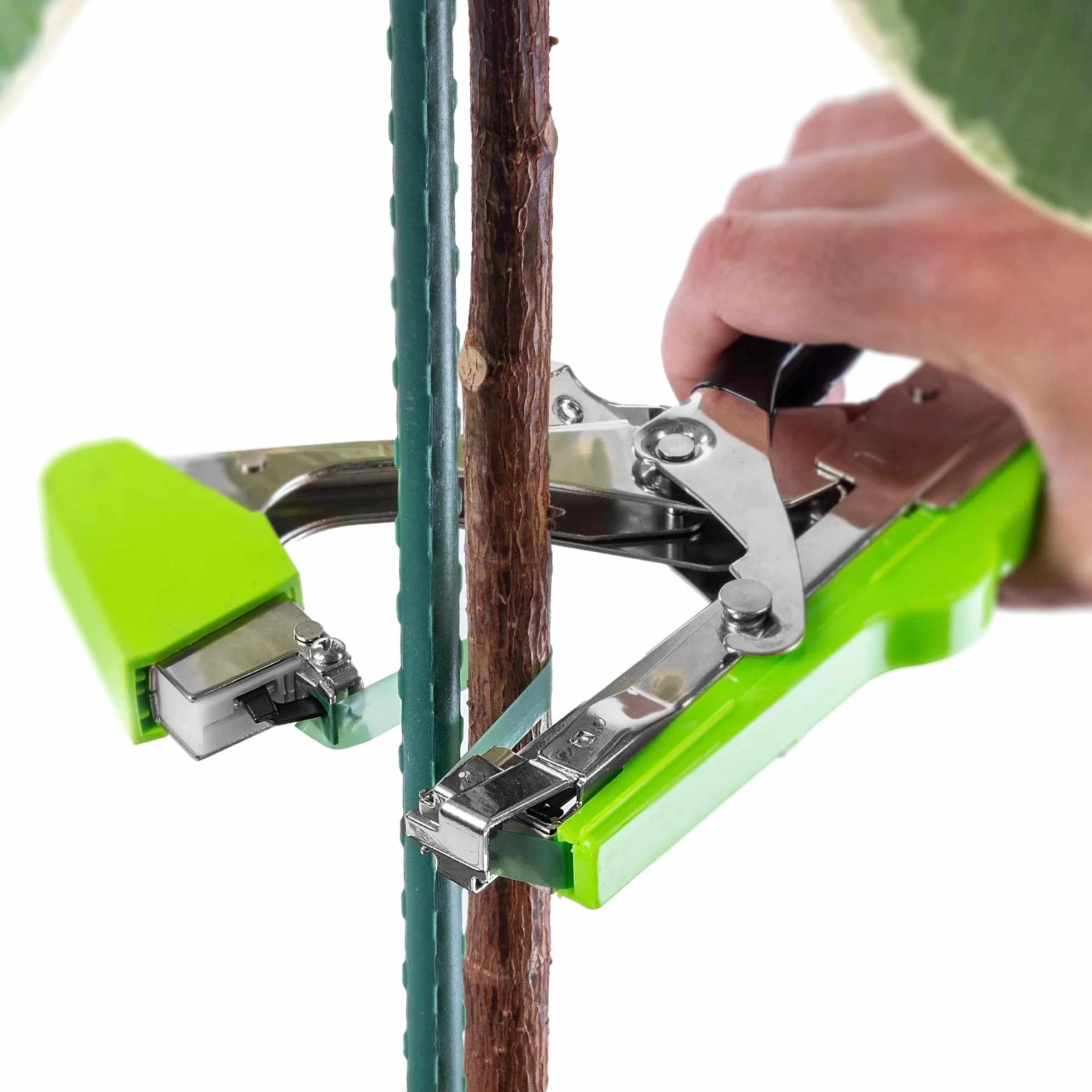 KADAX Taśma do wiązania szczypiec 20 rolek 11 mm x 25 m zielona