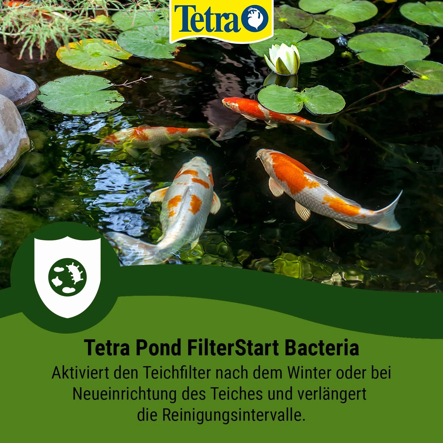 Tetra Pond FilterStart 500 ml