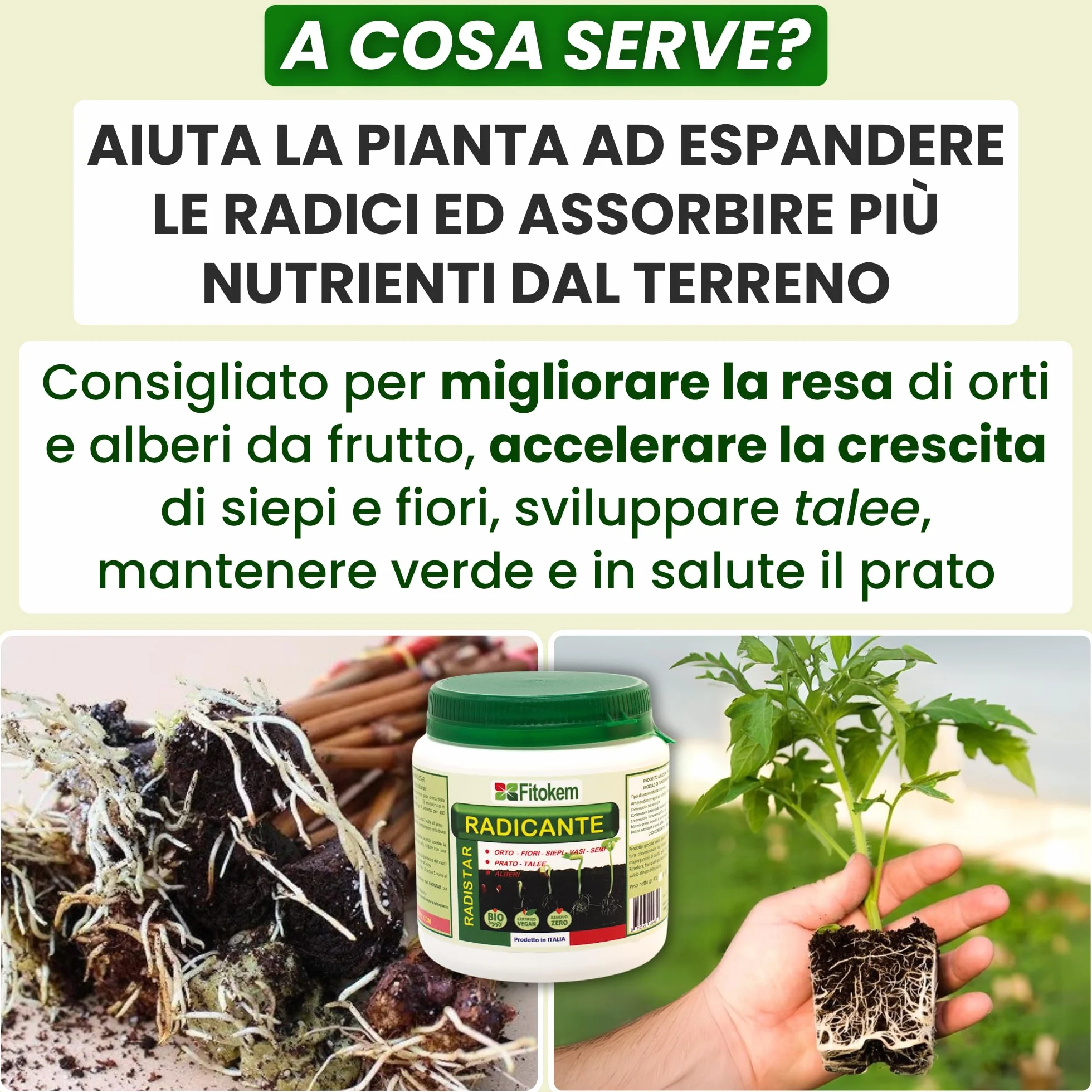 FITOKEM Radistar Hormon sadzenia w proszku 400 g Organiczny proszek do korzeni mikoryzy