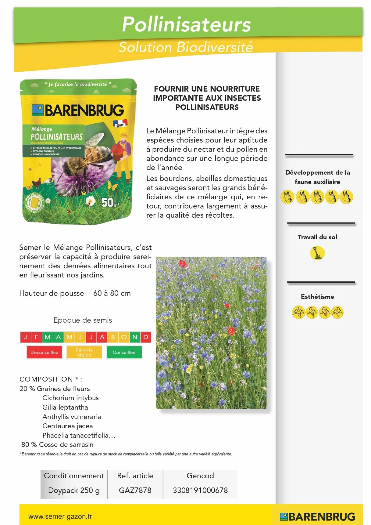 Barenbrug Mieszanka zapylacza 250 g zielona