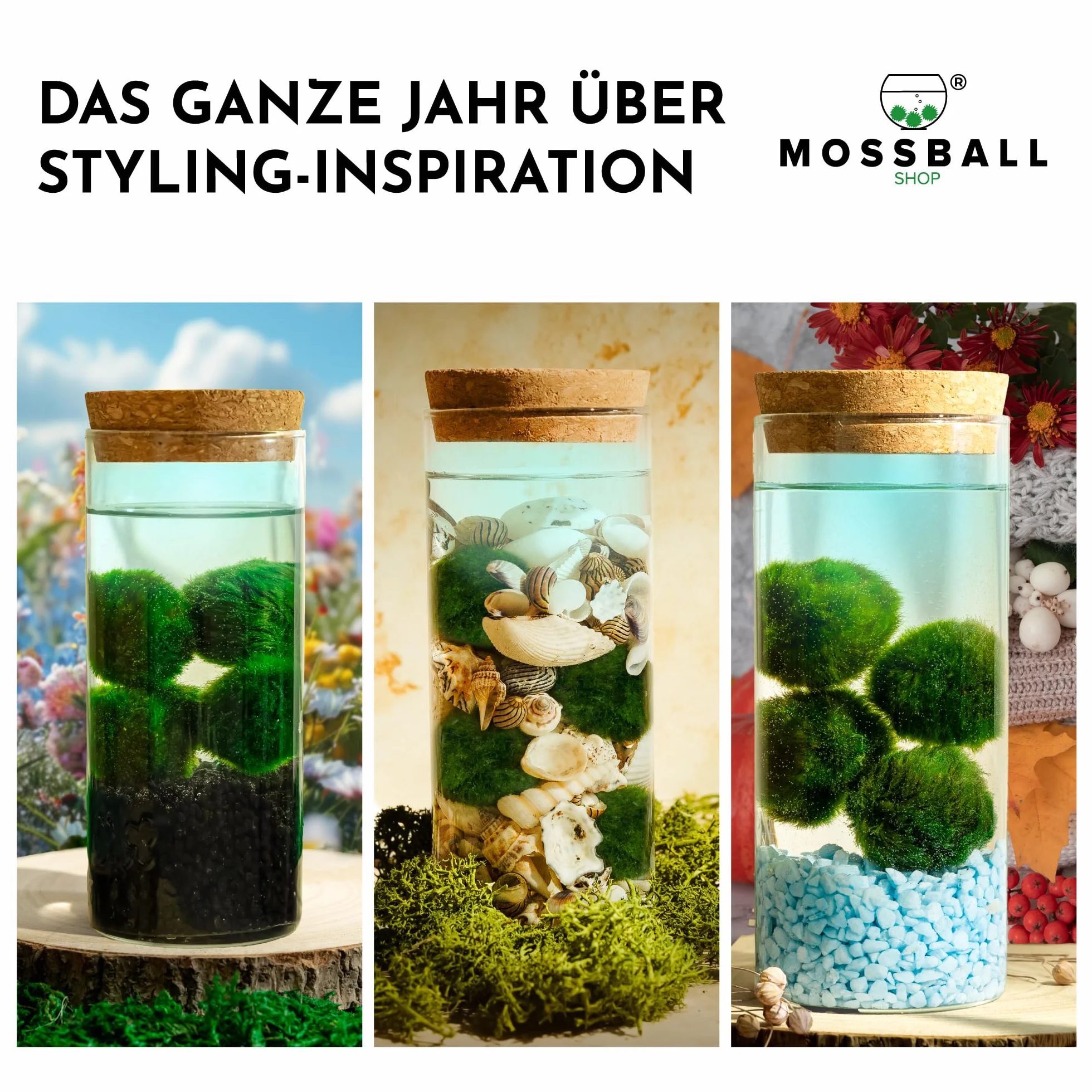 Mosball zestaw szklanych terrarium z żywymi kulami mchu światło wzrostu 7,9 x 6,3 cm