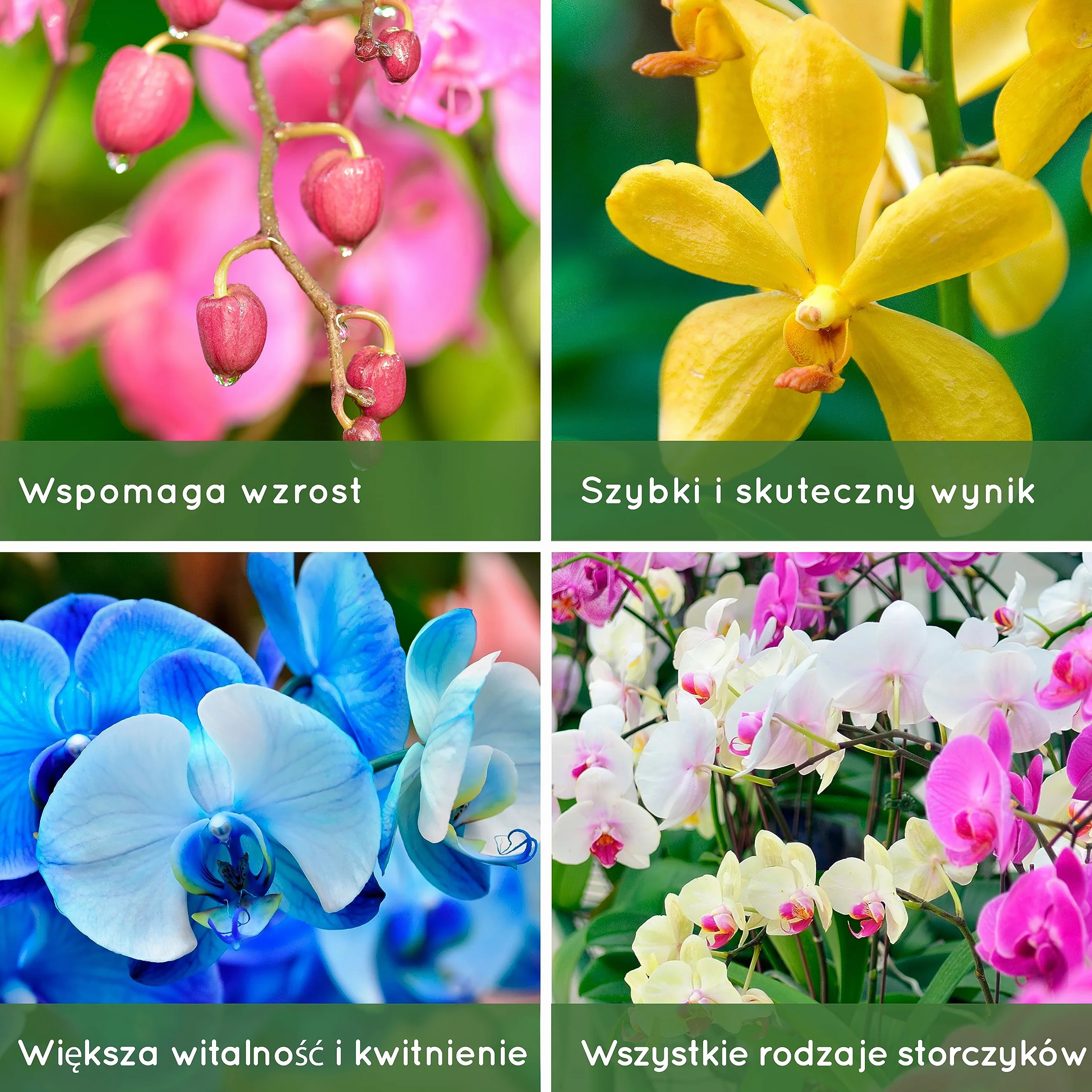 Organiczny Nawóz w Płynie z Orchidei 250ml - Naturalny Spray Gotowy Do Użycia