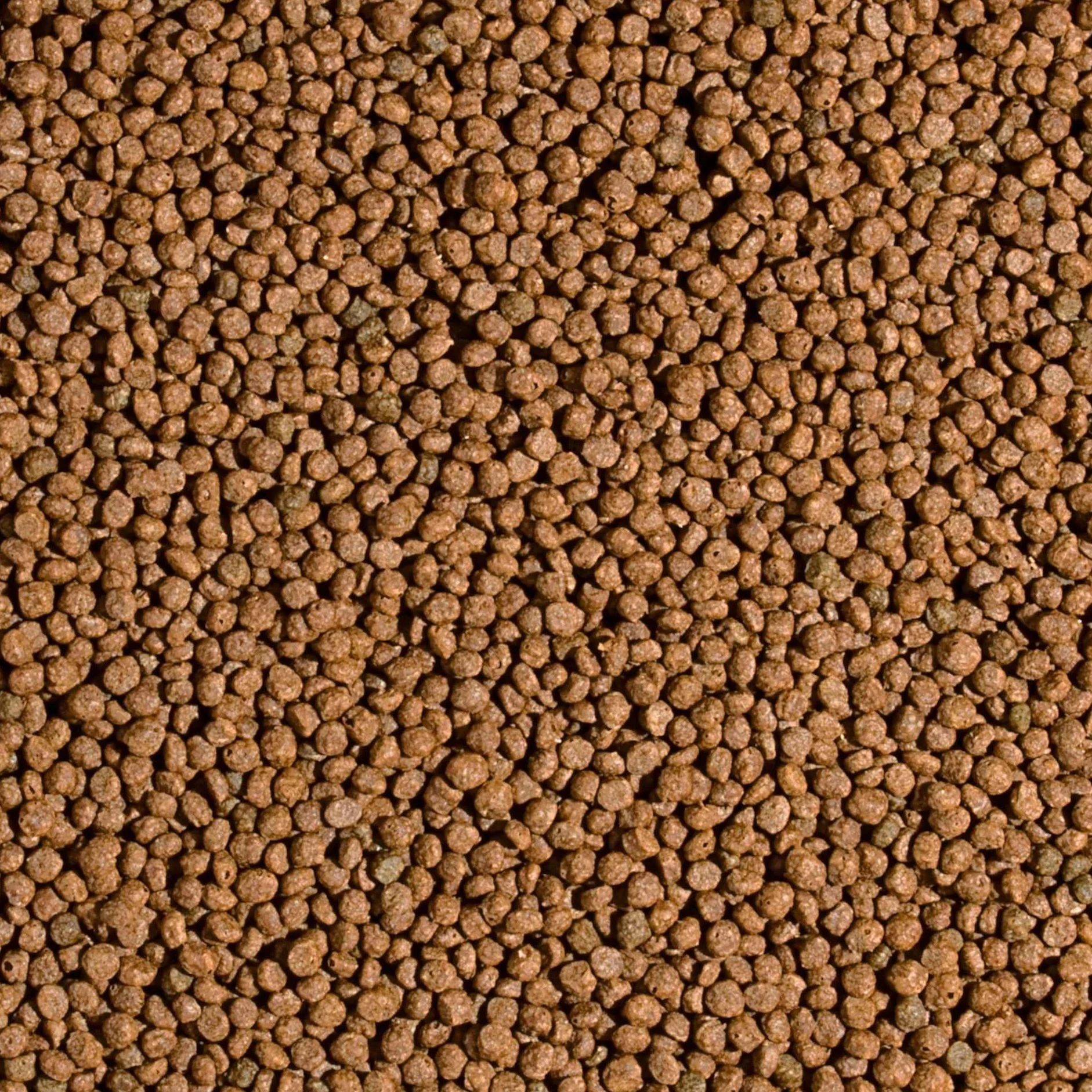 Pokarm w formie pływającego pelletu dla ryb w oczkach wodnych KOI PROBIOTIC PELLET SIZE S 1000ml / 320g