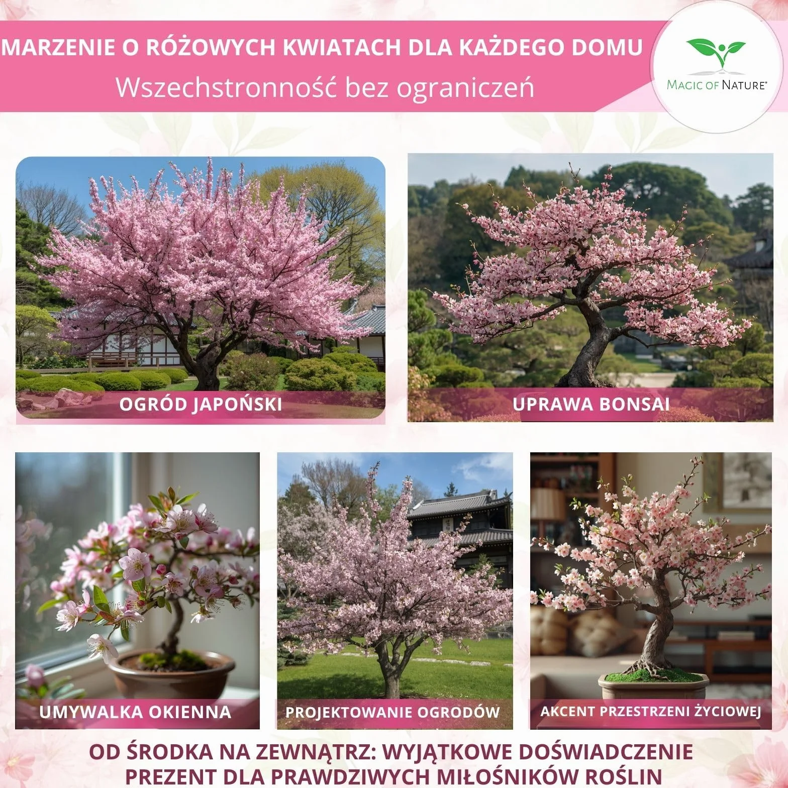 Magic of Nature Wiśnia Japońska 10 Szt - Nasiona Sakura Kwiaty - Drzewo Mrozoodporne Wieloletnie - Różowy Sen do Ogrodu i Bonsai