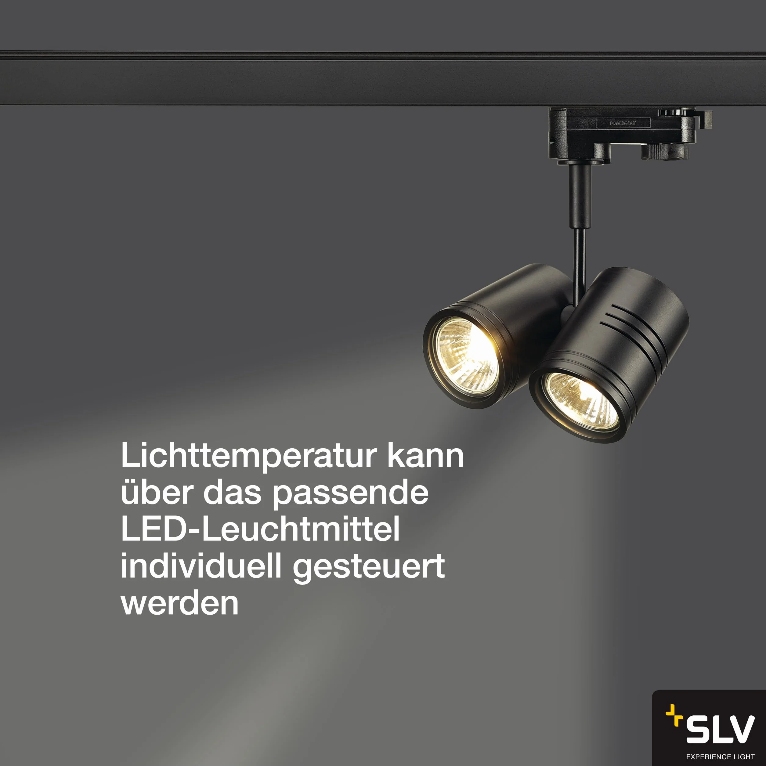 SLV Spot do systemu 3-fazowego SLV BIMA 2 / reflektor, spot LED, reflektor sufitowy, lampa sufitowa, system szynowy, oświetlenie wewnętrzne / GU10 50W czarny