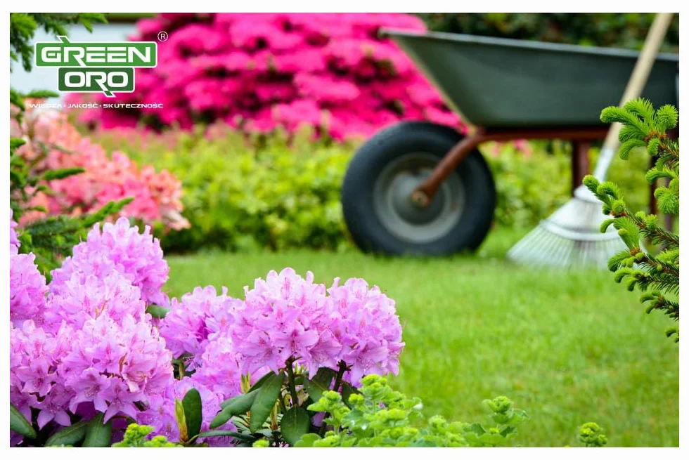 FLOWERS ACID 5KG Nawóz do hortensji i roślin kwasolubnych