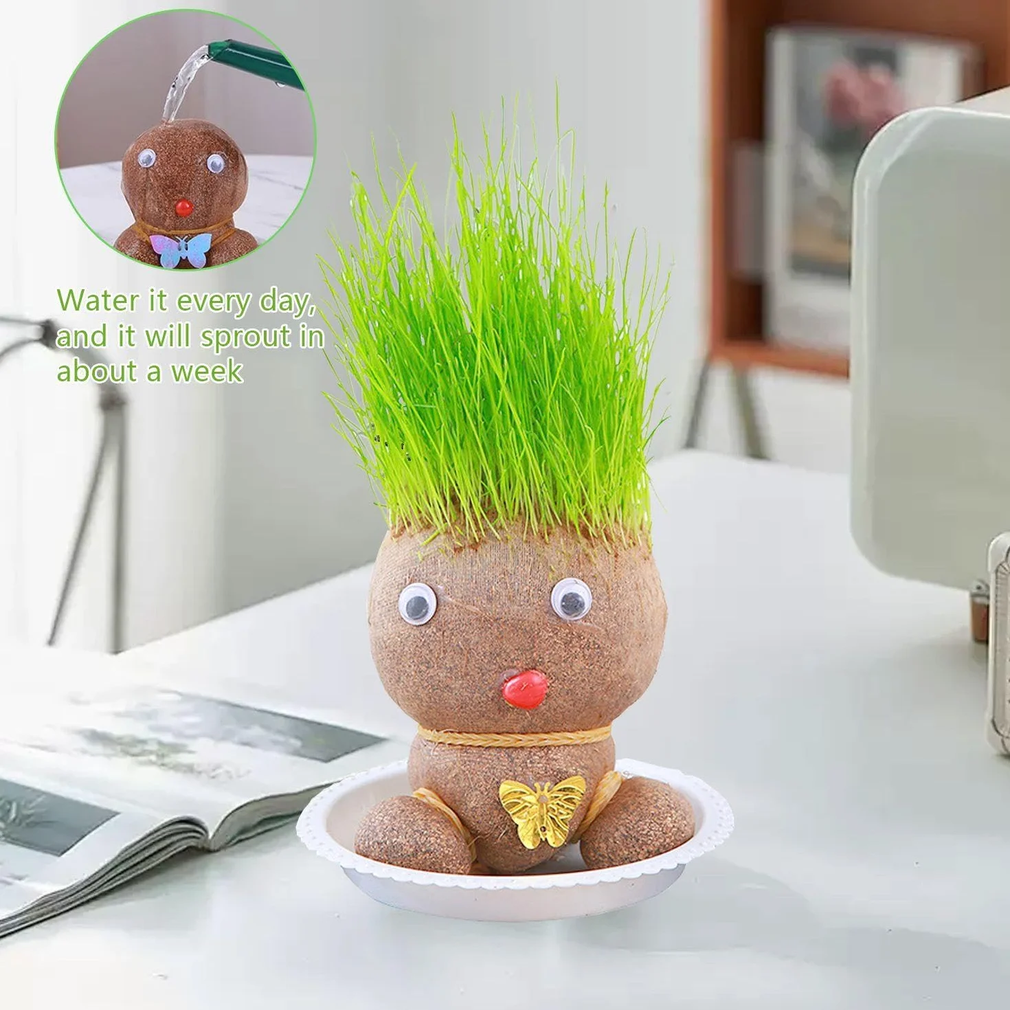 Lalki do uprawy roślin, 2-częściowe tace, głowa kwiatowa, mini lalki z głową trawy bonsai