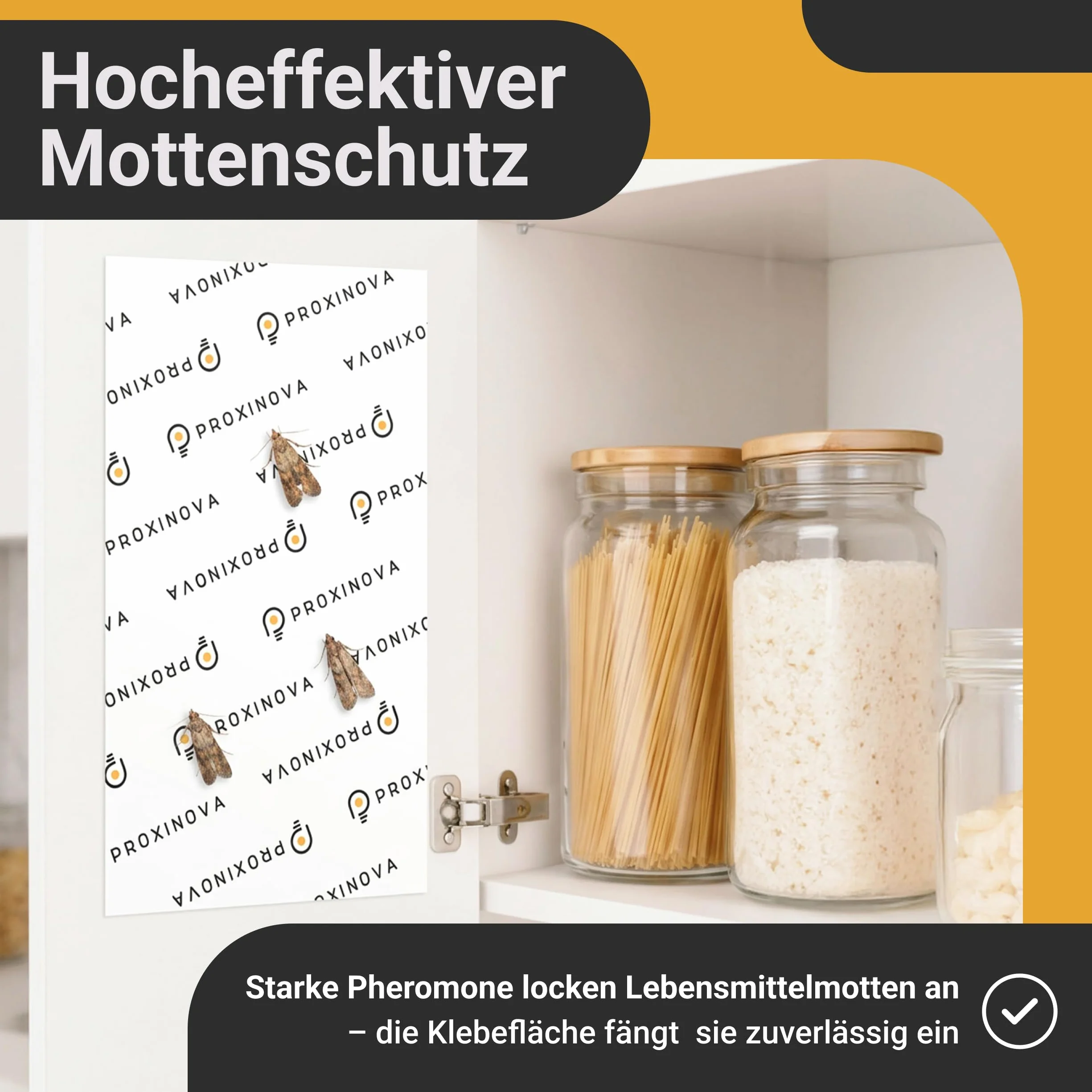 Pułapki na mole spożywcze – łapie mole i feromony owady pokarm dla dyskretnej kuchni, nietoksyczna do 3 miesięcy - Biocide Free - 12 kart - Made in Germany