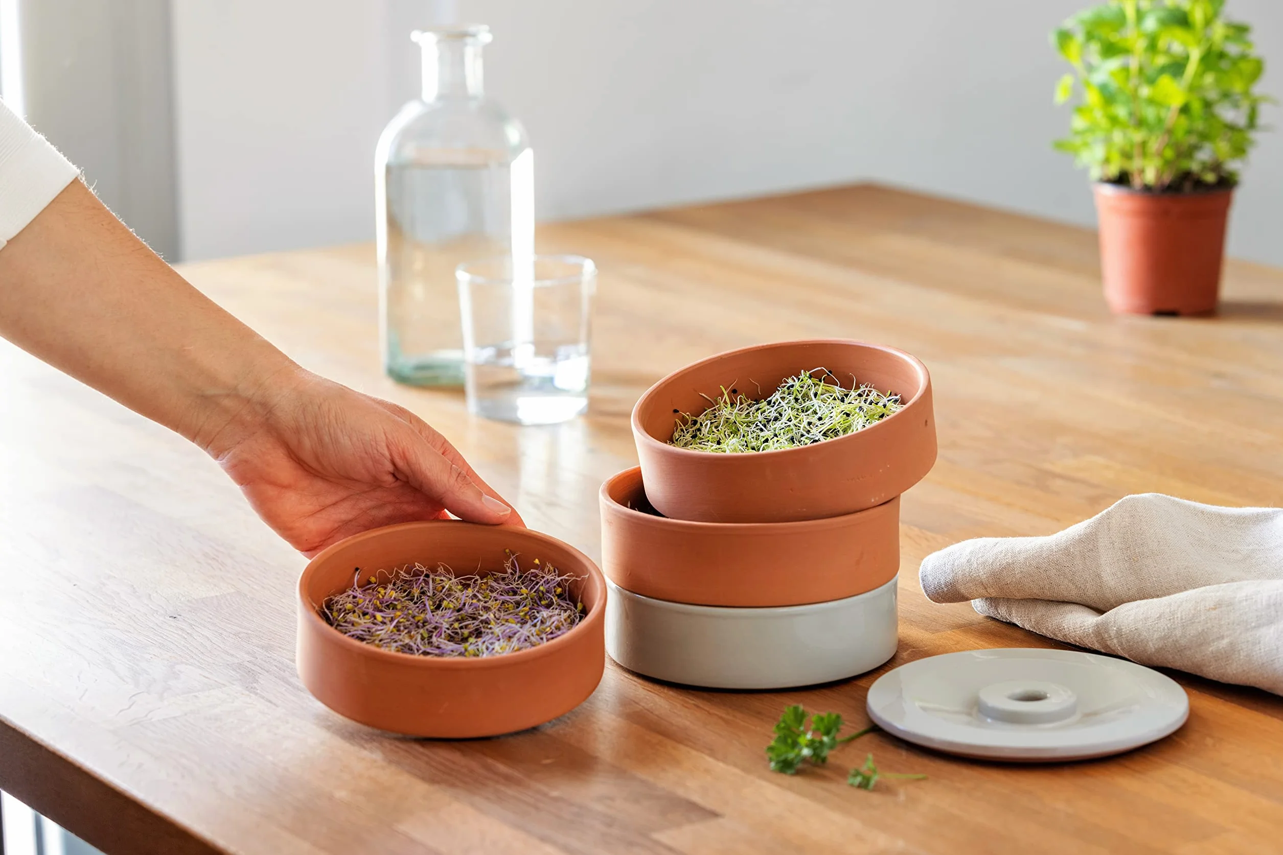 Artcook 3 w 1 naturalny kolor ceramiczny kiełkowy | uprawa nasion i kiełków w domu | naturalna terakota, łatwa do mycia, nadaje się do mycia w zmywarce