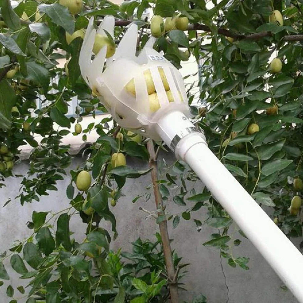 Plastikowy zbieracz do zbierania owoców narzędzie ogrodowe biały