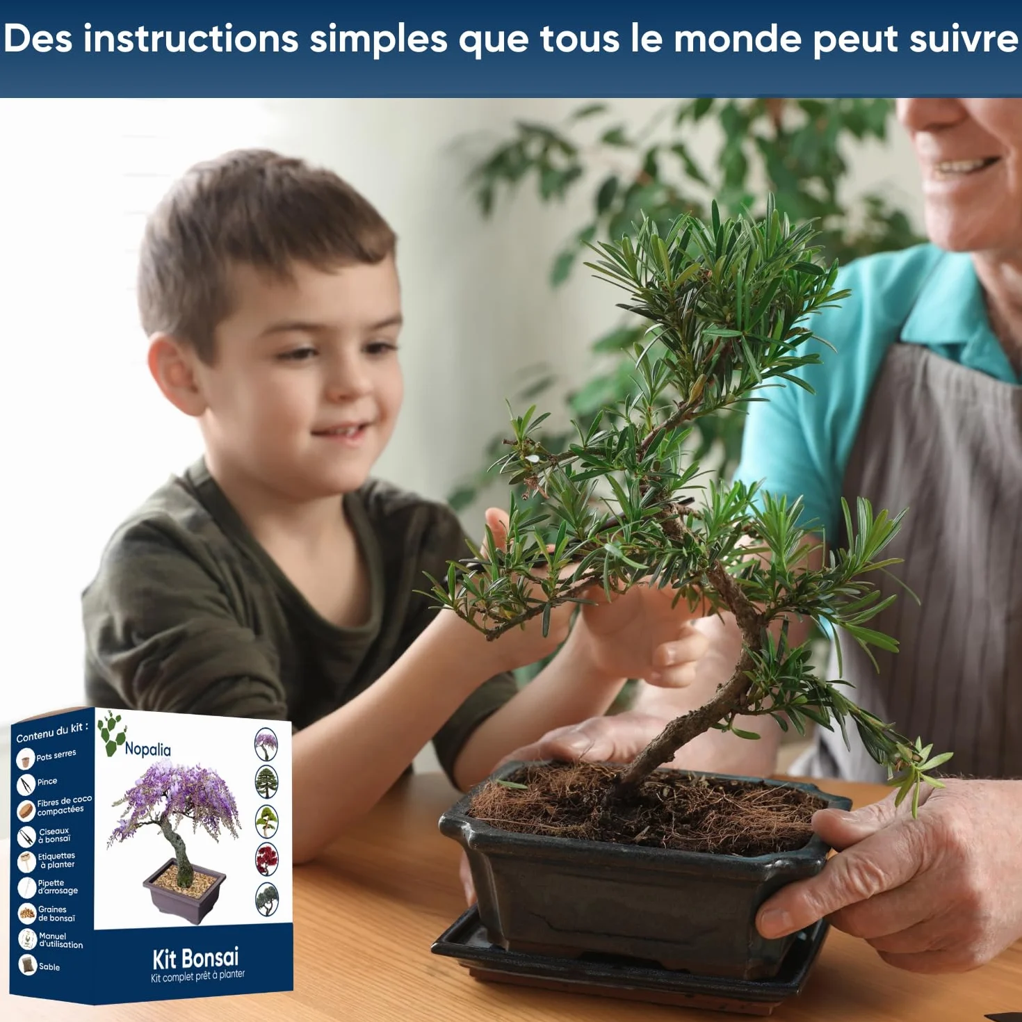 NOPALIA® Zestaw Bonsai do uprawy z nasionami, prezent dla dorosłych i dzieci