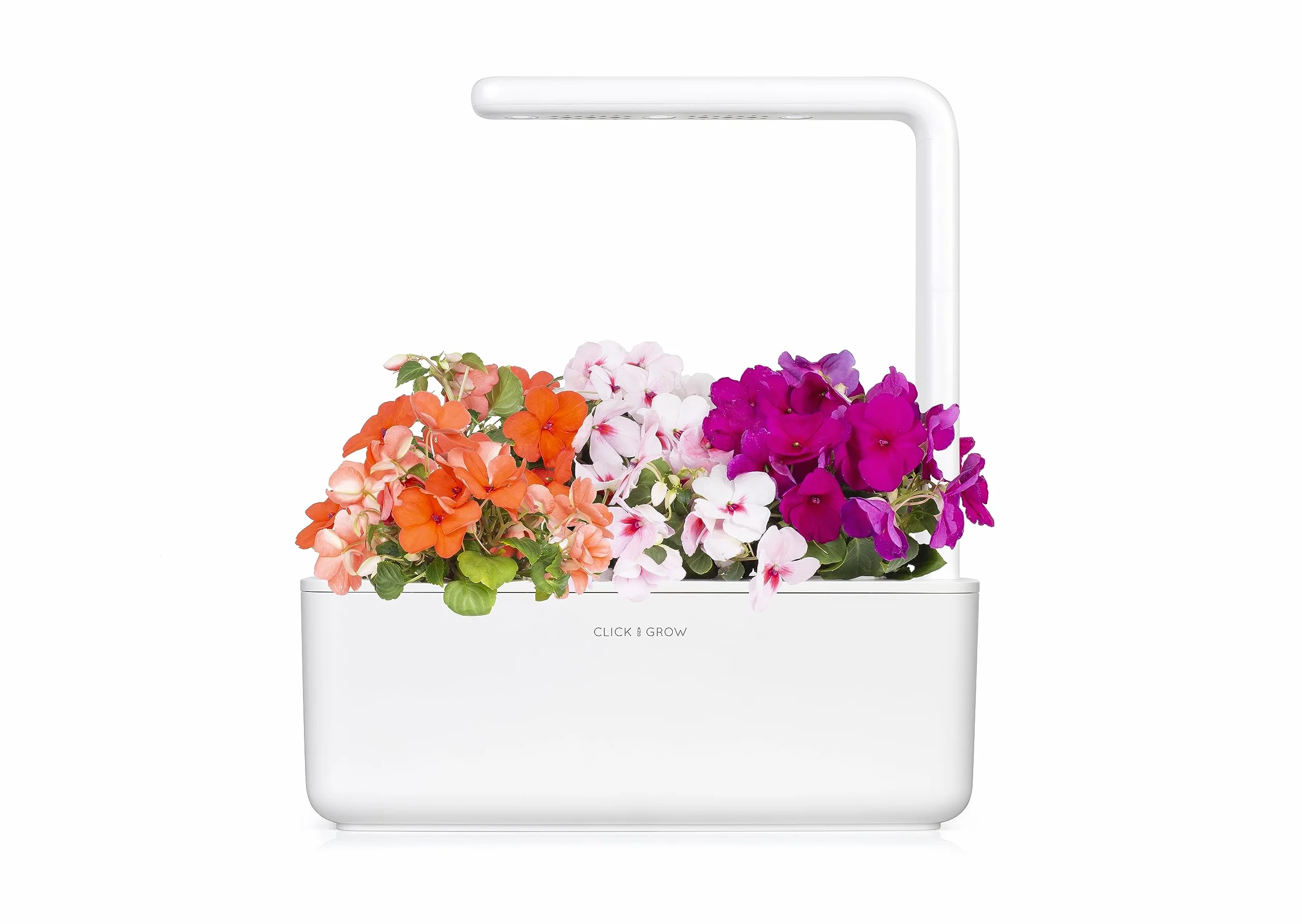Click & Grow Plant Pods kapsułki roślinne niecierpek waleriana 3-pak Smart Garden