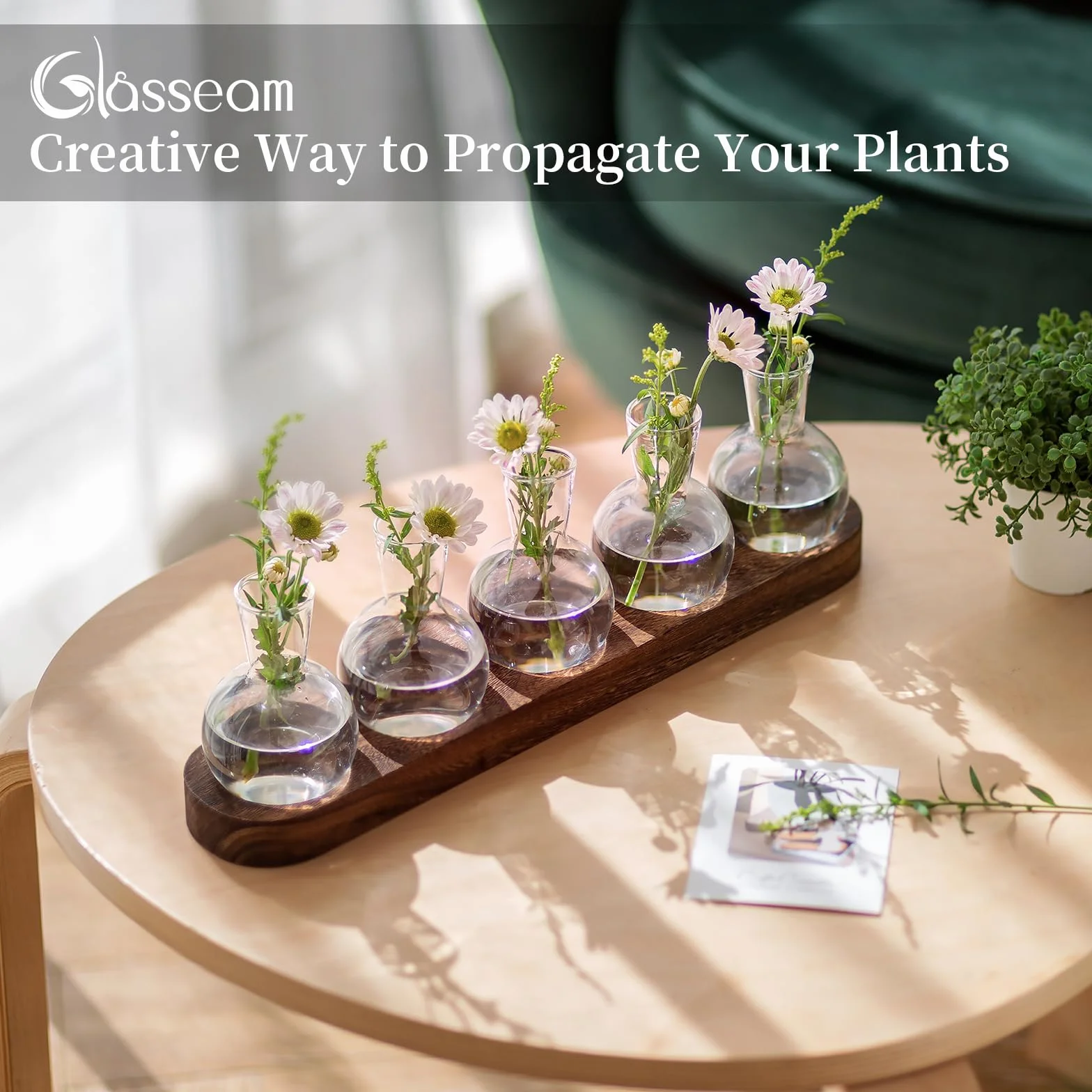 Glasseam Stacja do Rozmnażania Terrarium na Rośliny, Szklany Wazon z Drewnianą Tacą, Nowoczesny do Salonu, Biura, Kwiaty, Hydroponika, Cięcie Roślin