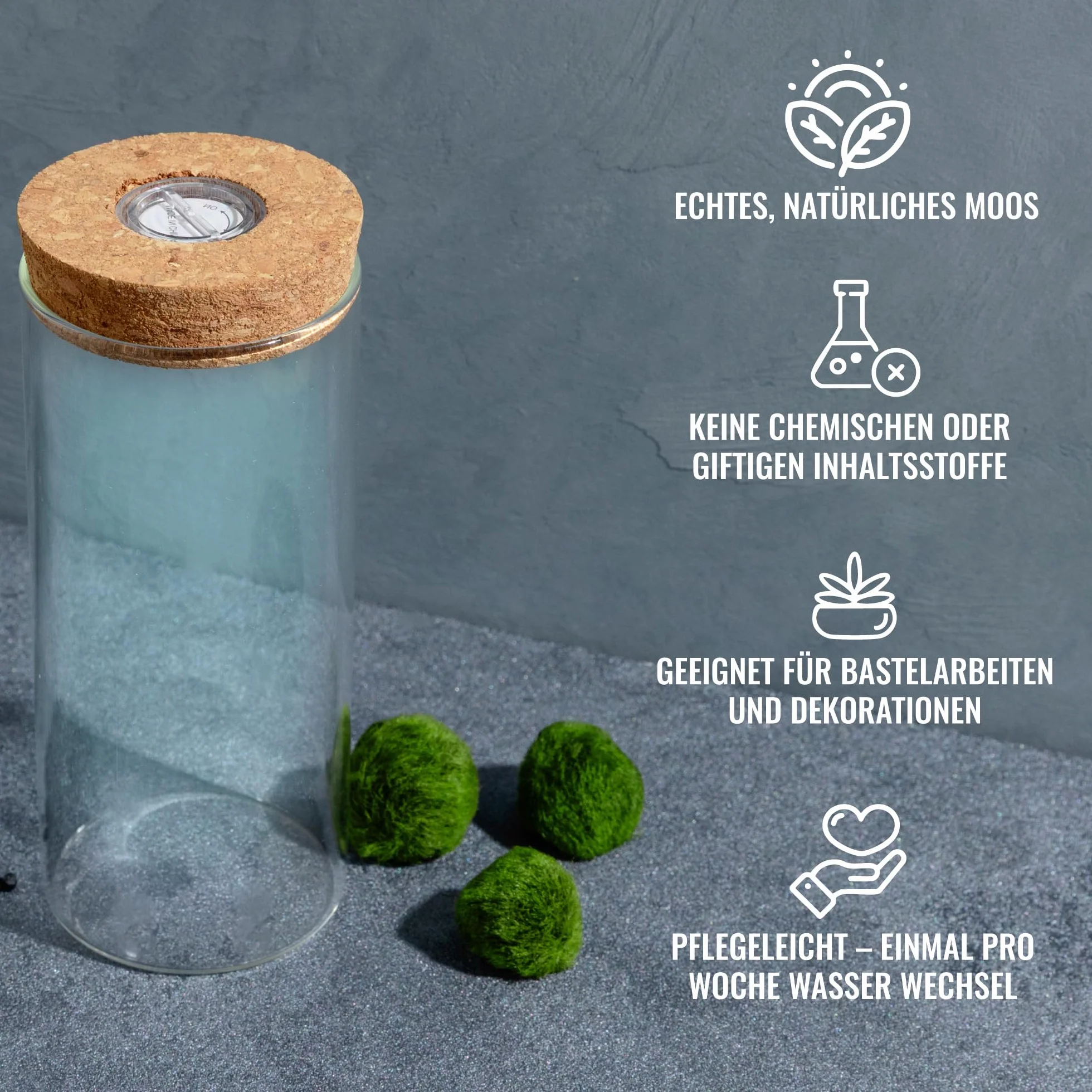 Mosball zestaw szklanych terrarium z żywymi kulami mchu światło wzrostu 7,9 x 6,3 cm