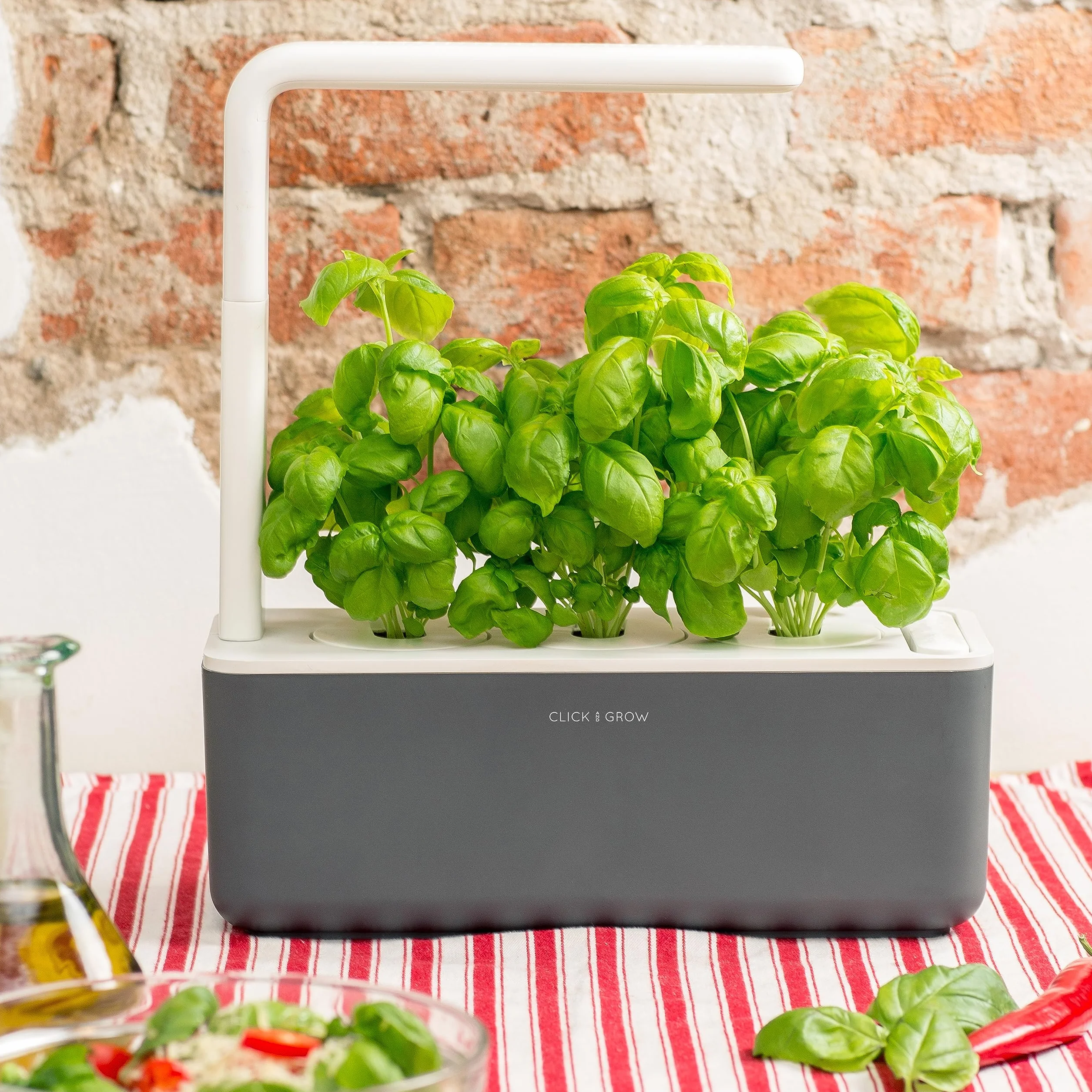 Emsa Click & Grow kapsułki substratowe bazylia opakowanie uzupełniające do Smart Garden 3-częściowy zestaw