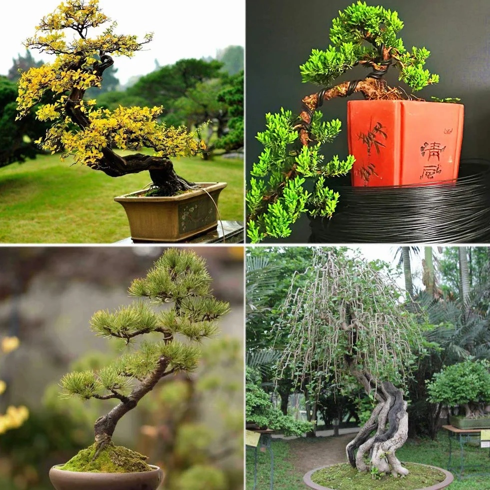 Aluminiowy drut treningowy do bonsai 3 rozmiary 1 mm 1,5 mm 2 mm czarny