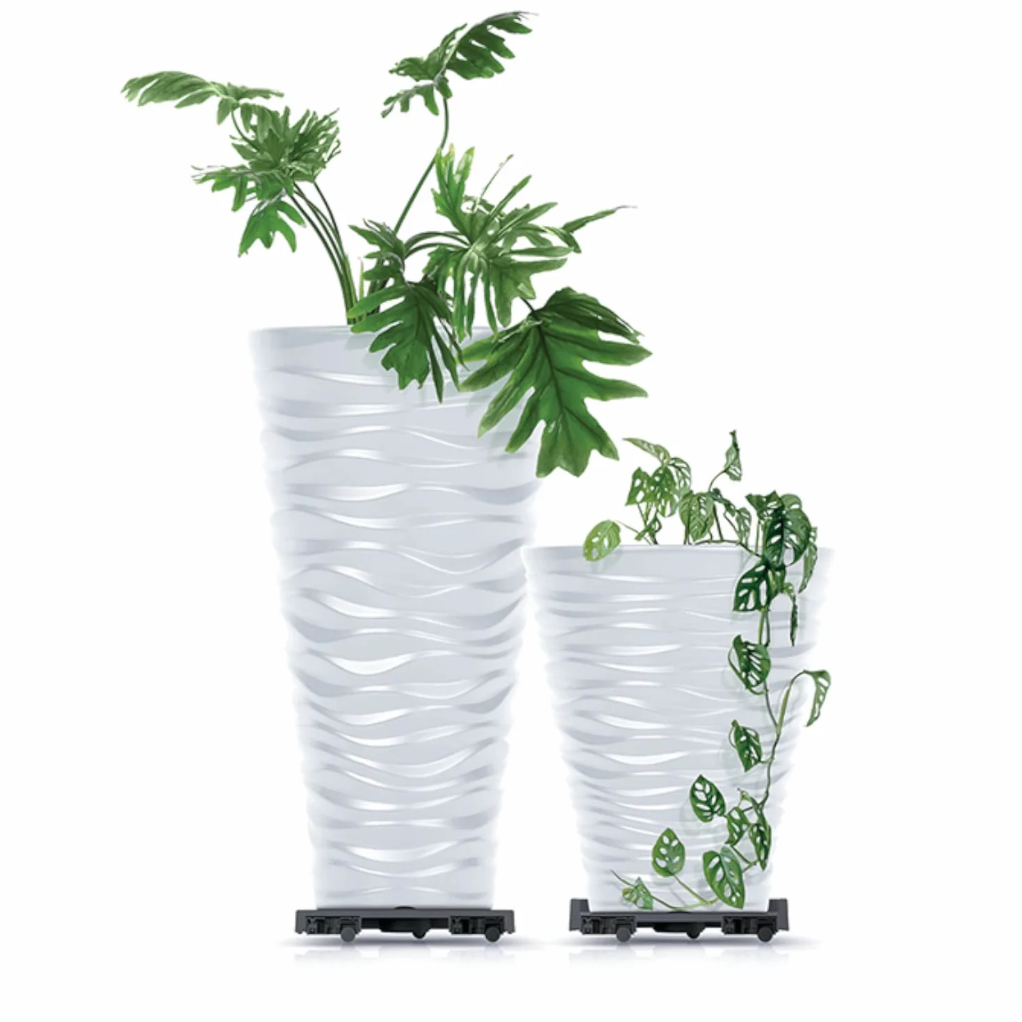 Prosperplast IPRR450-S433 Mobilna Podstawka pod Doniczkę 44,6 cm Okrągła na Kółkach
