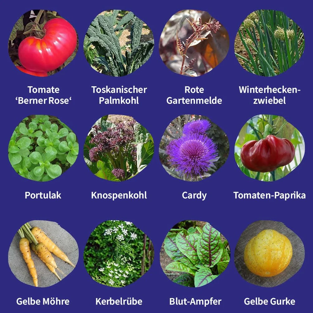 Magic Garden Seeds zestaw nasion warzyw 12 odmian odpornych na wymiana