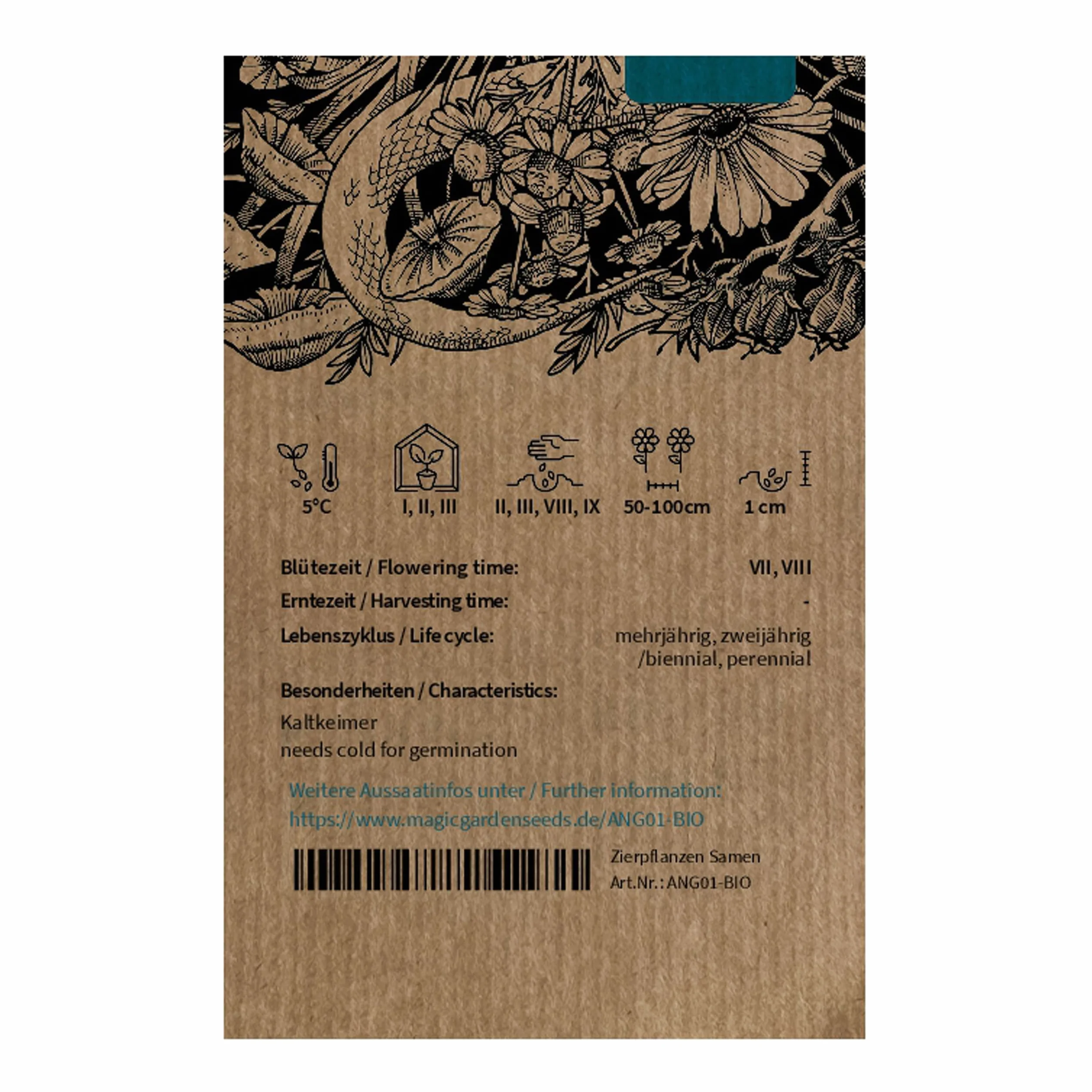 Angelica archangelica organic - ok. 100 nasion dzikie zioło, starożytna roślina lecznicza, cukierek, dziki kwiat