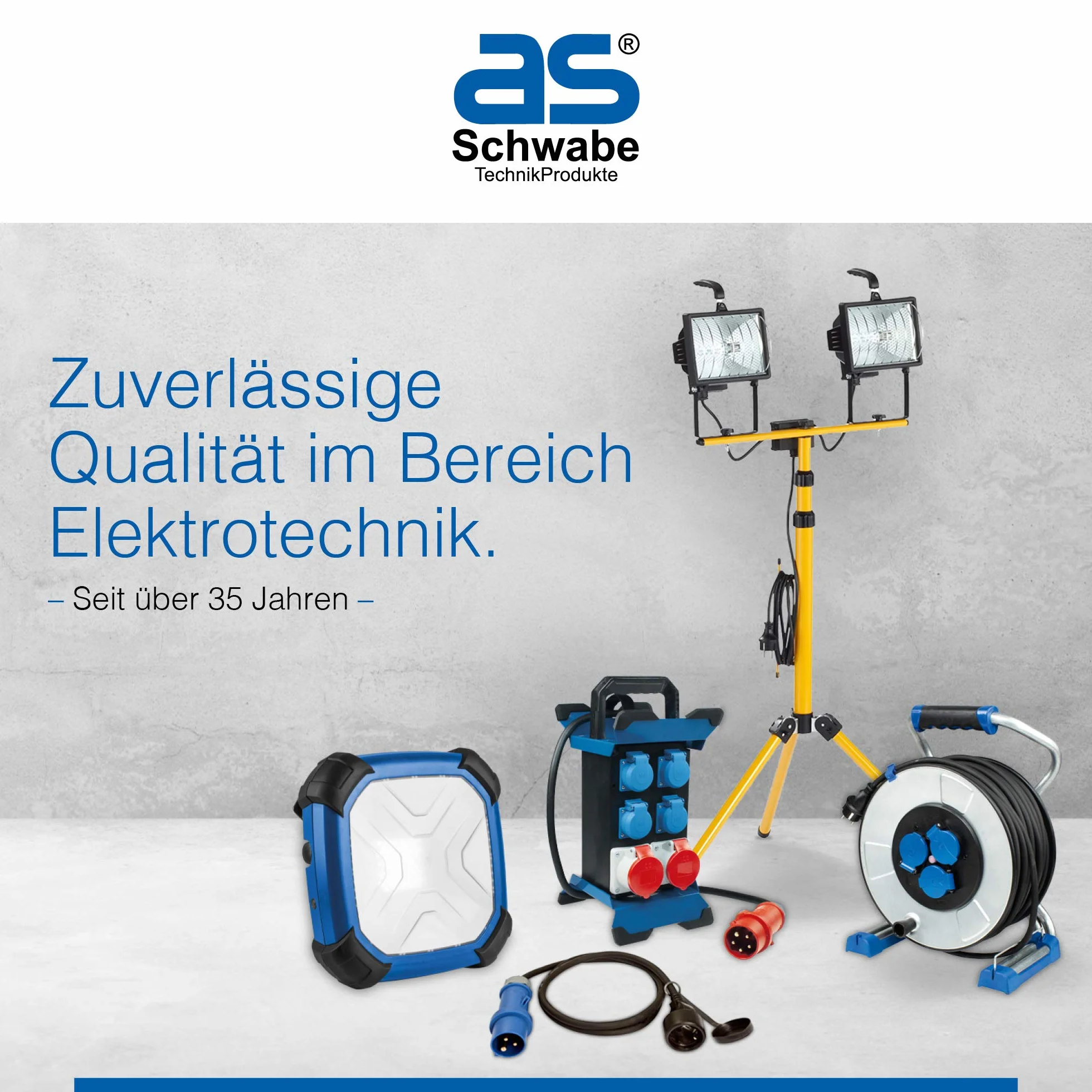 as - Schwabe 45031 Schutzkontakt-Zentralstecker, weiß, 230 V