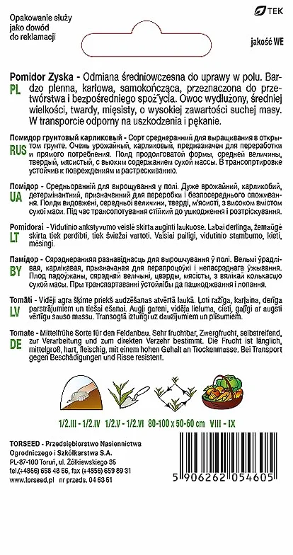 Zyska nasiona pomidorów karłowatych Solanum lycopersicum – średnio wczesna dojrzałość, wysoka wydajność, mocne i mięsiste owoce, idealne do sosów i świeżego spożycia, odmiana oszczędzająca