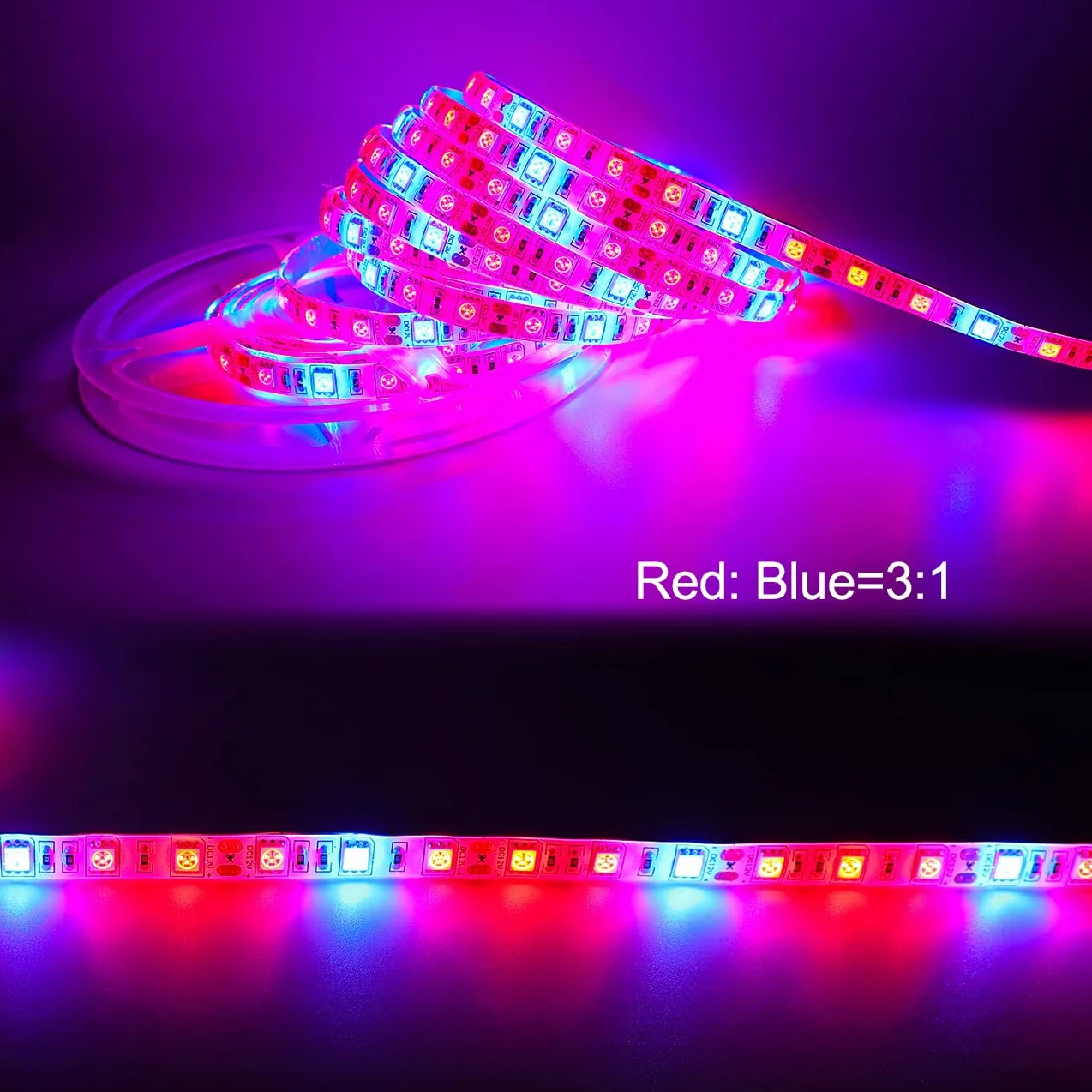 Taśma LED do uprawy roślin SMD 5050 IP65 wodoszczelna pełne spektrum DC 12V czerwony niebieski 3:1