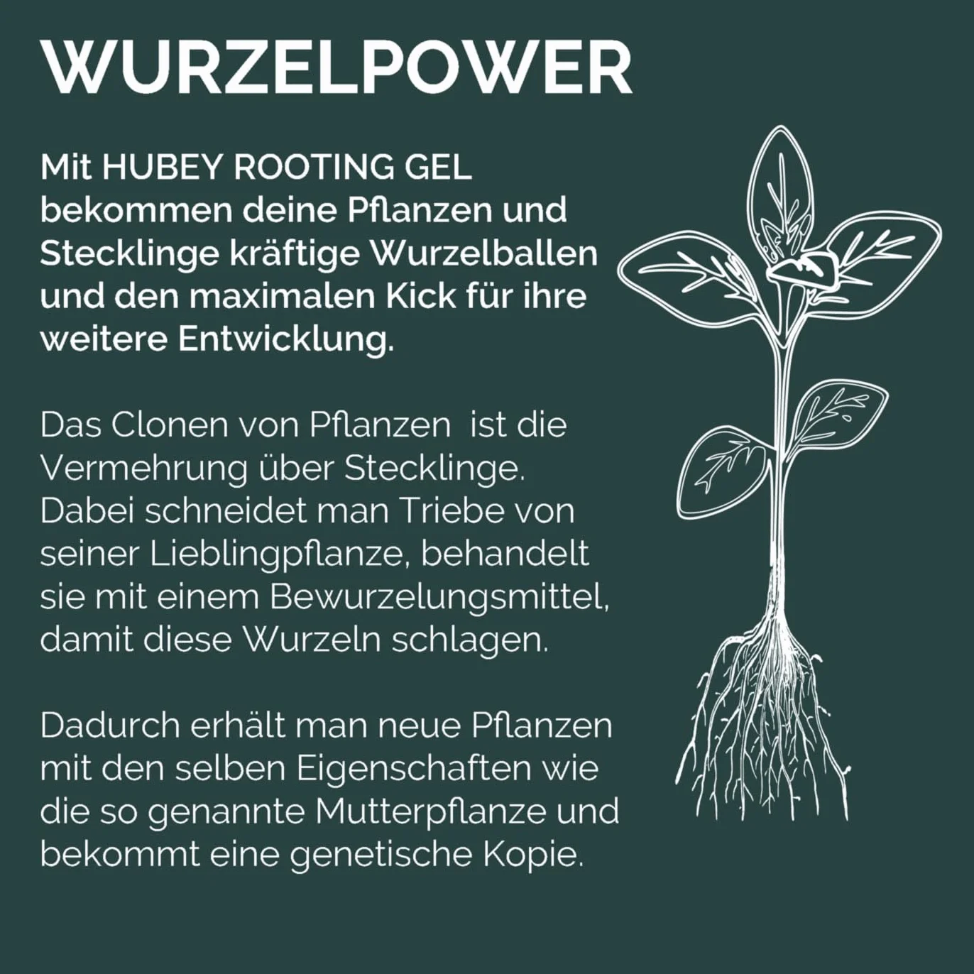 HUBEY Bio Rooting Gel środek do ukorzeniania sadzonek do rozmnażania roślin, stymulator korzeni (30 ml)