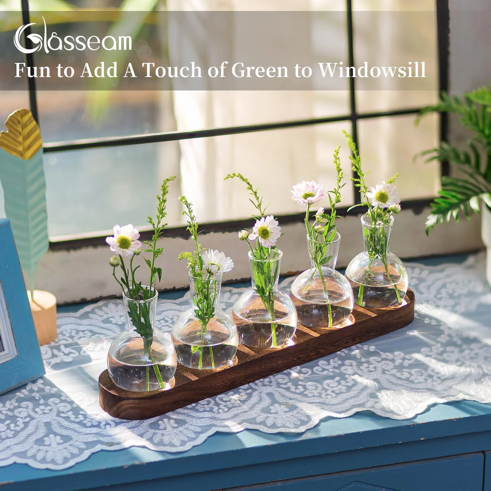 Glasseam Stacja do Rozmnażania Terrarium na Rośliny, Szklany Wazon z Drewnianą Tacą, Nowoczesny do Salonu, Biura, Kwiaty, Hydroponika, Cięcie Roślin