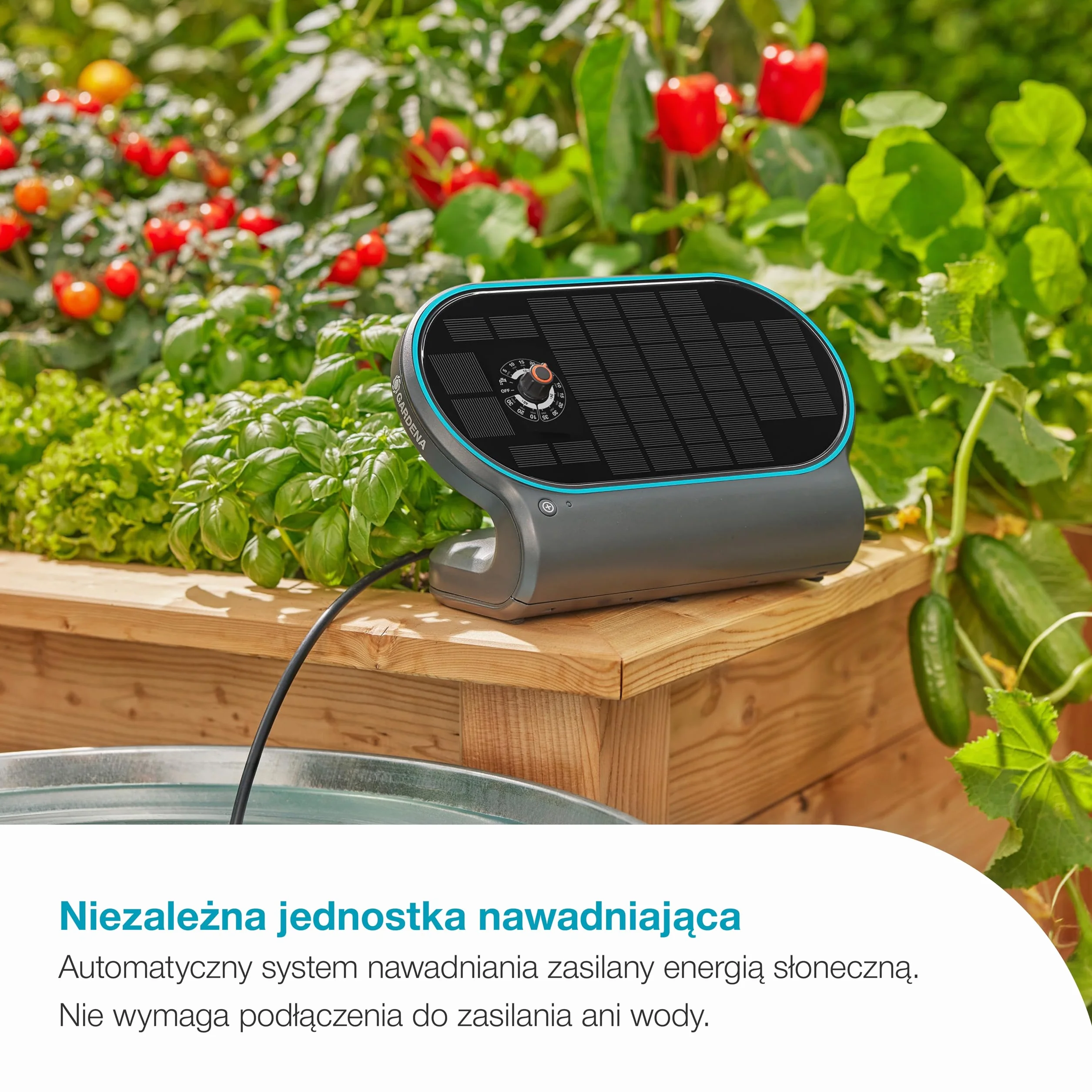 Gardena System nawadniania słonecznego AquaBloom L Set, automatyczny system nawadniania