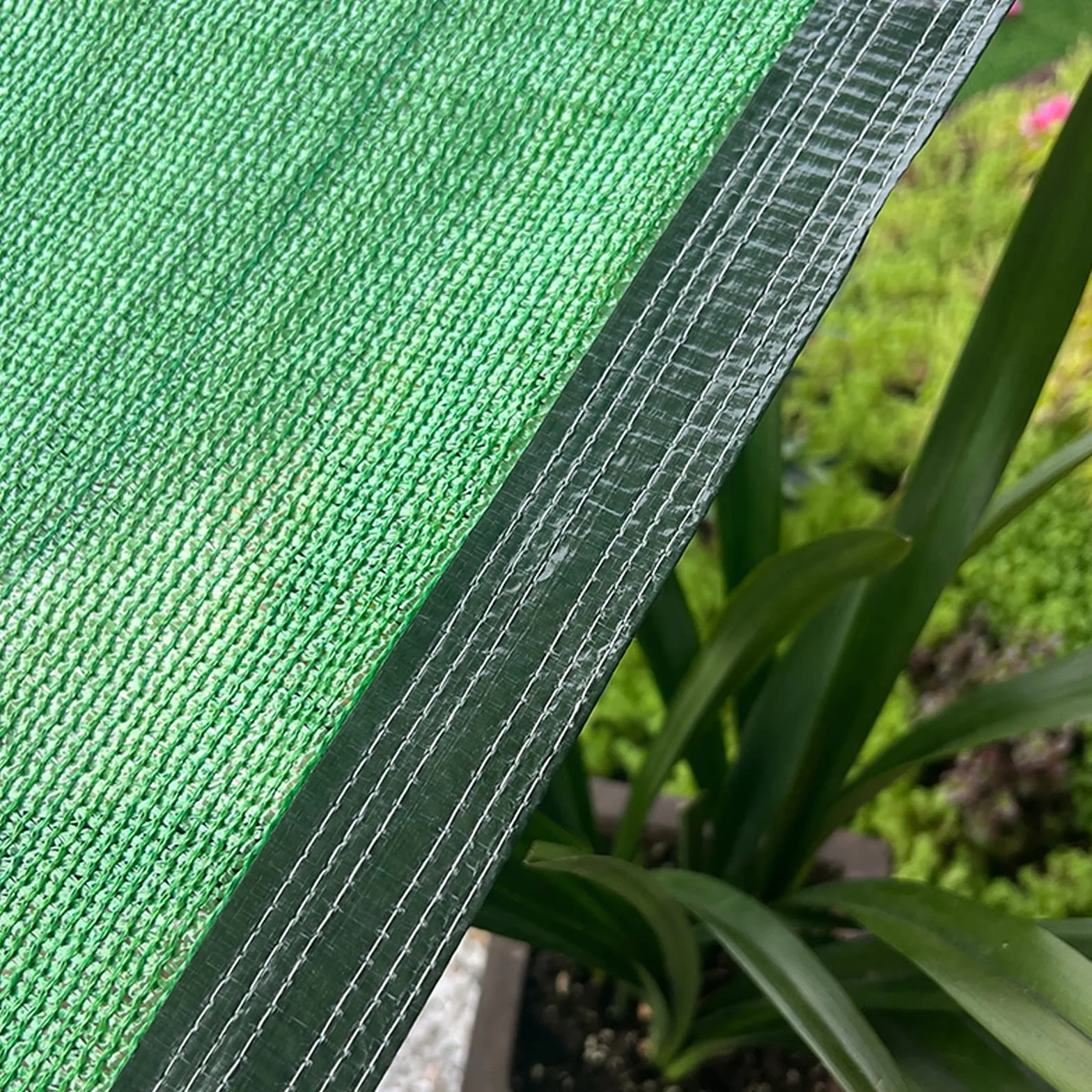 Siatka zacieniająca HDPE 50% UV 3x6m z przelotkami zielona