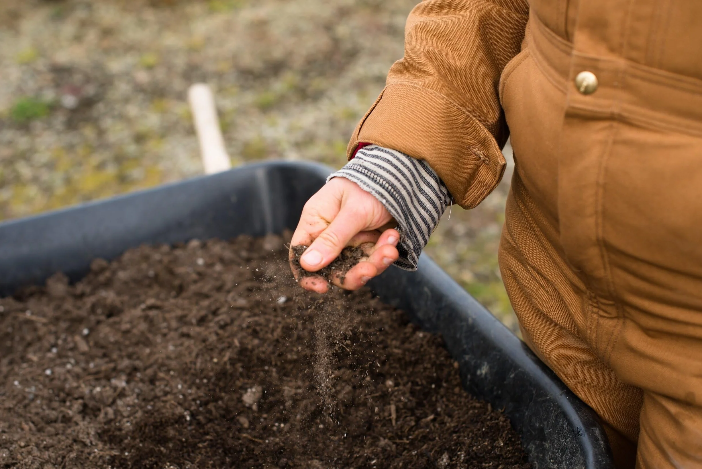 BIOVITA Podłoga uniwersalna 10 l ziemia do roślin naturalne pochodzenia