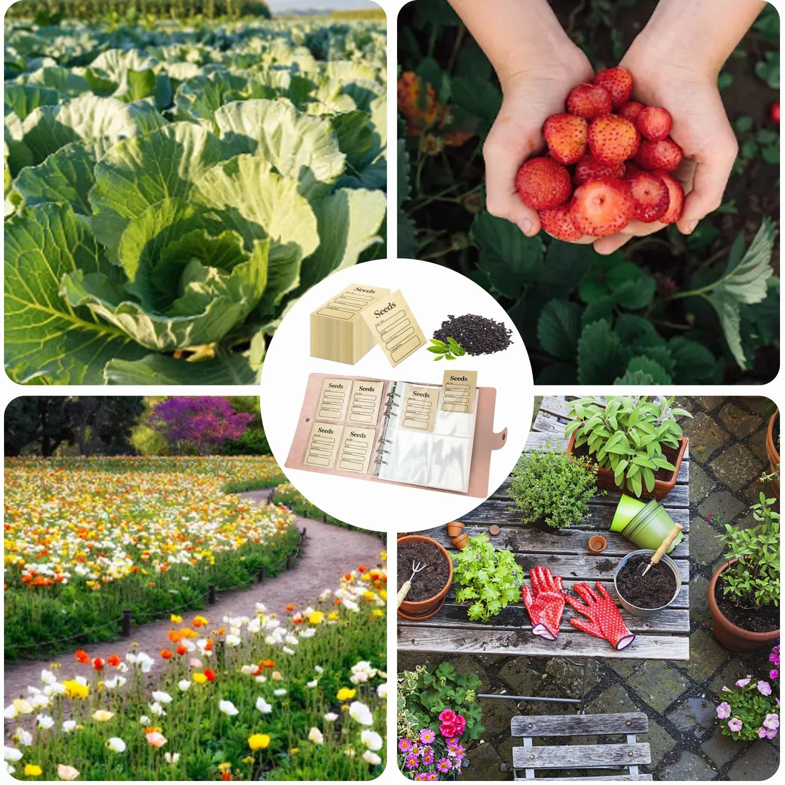 100 sztuk Seed Storage Organizers Resealable Self Sealing Seed Envelopes Garden Seed Organization Binder Saving Envelope Seed Collecting Template for Vegetable