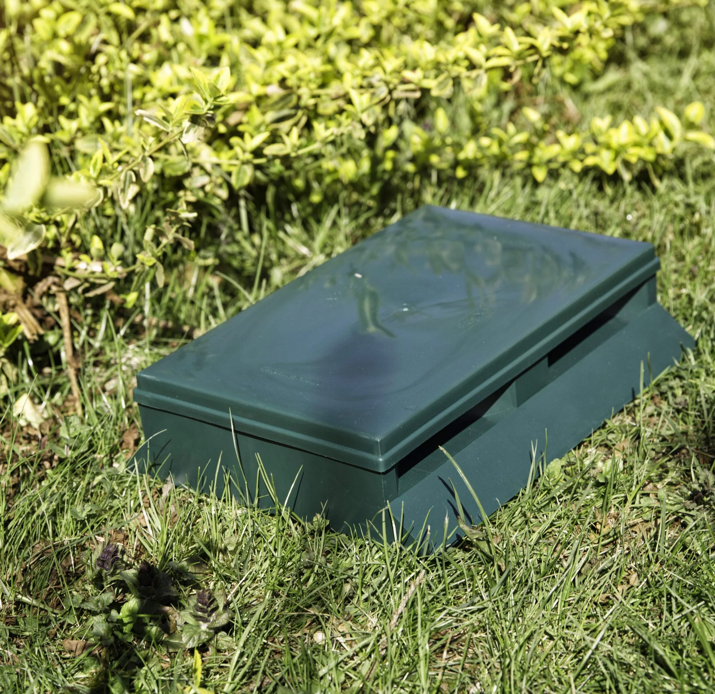 Windhager Pułapka na ślimaki Slug-Away, pułapka na piwo, ochrona przed ślimakami, zwalczanie ślimaków bez chemii i trucizny, 20,5 x 26 x 6 cm, zielona, 02430