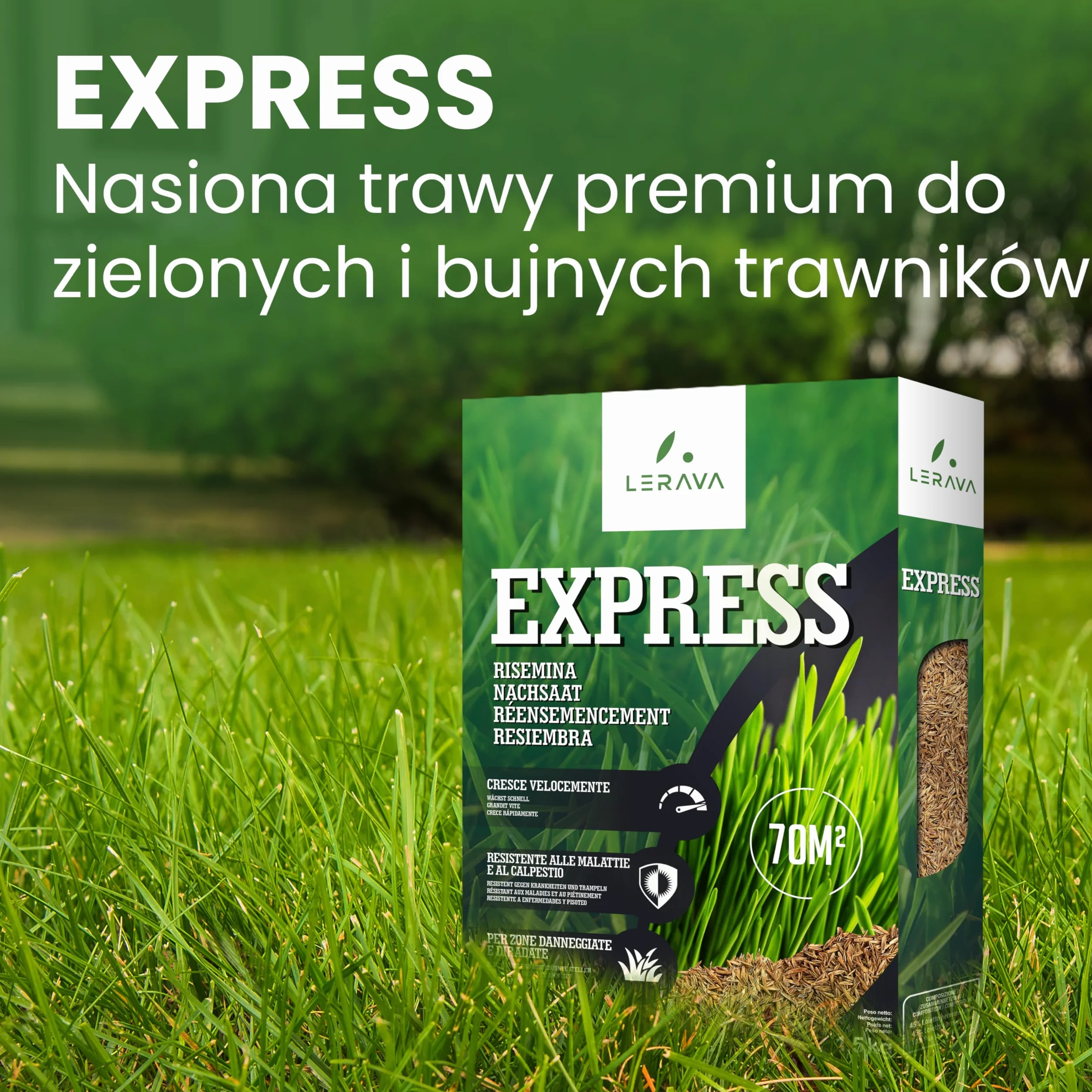 LERAVA® EXPRESS nasiona trawy 70m² szybki wzrost odporność na deptanie trawa regeneracyjna do ogrodów słonecznych i półcienistych odporna na suszę 1,8 kg