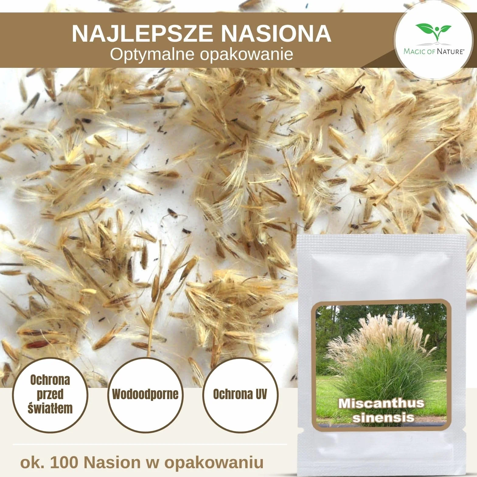 Magic of Nature Nasiona Miskanta Olbrzymiego - ok. 100 szt. - sinensis Srebrzyste Pióra - Trawa Ozdobna Mrozoodporna na Żywopłot i do Ogrodu