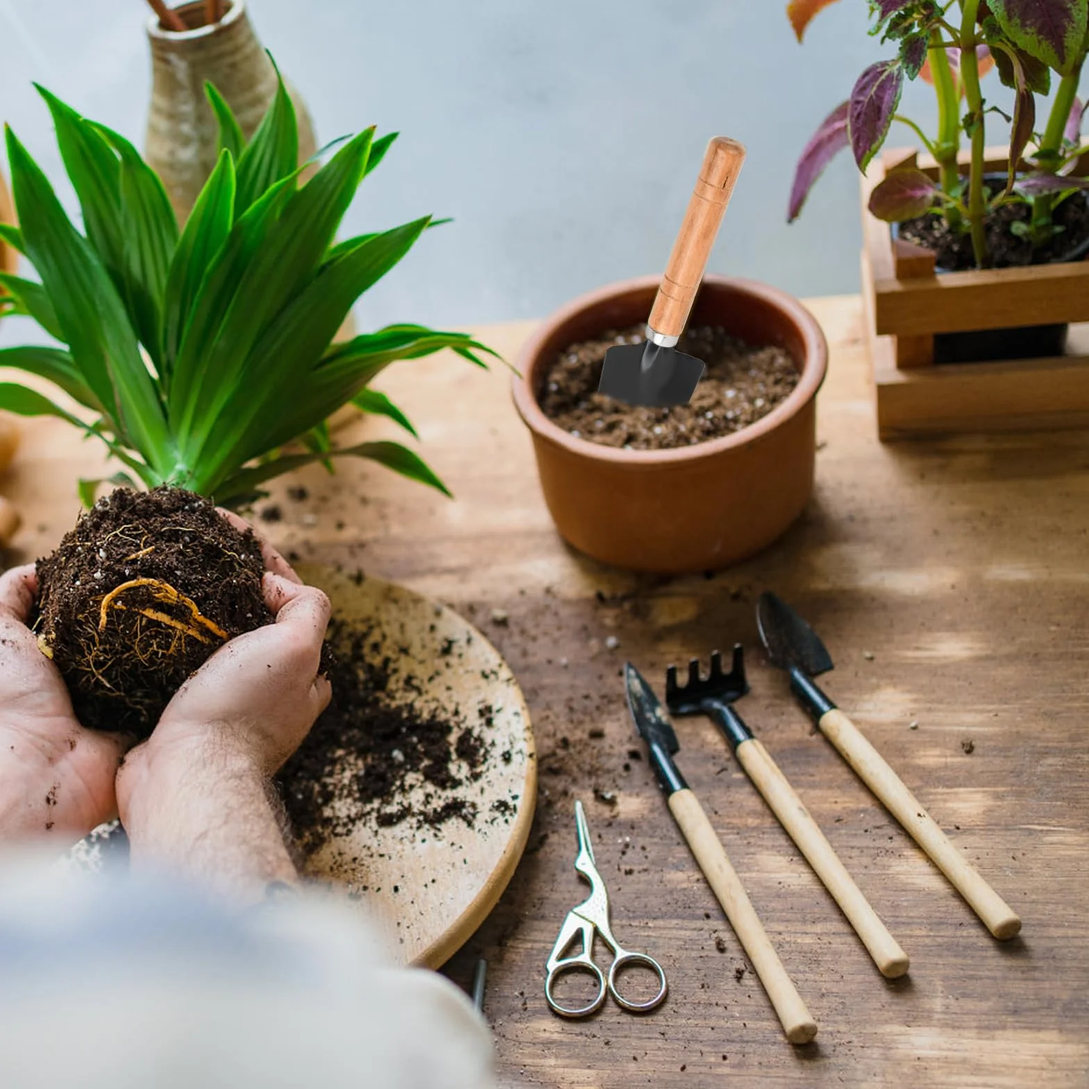 Nivofu 6-częściowy mini zestaw narzędzi ogrodniczych, do przesadzania sukulentów, do ogrodnictwa, do sadzenia alpejskiego, bonsai, roślin, kwiatów doniczkowych