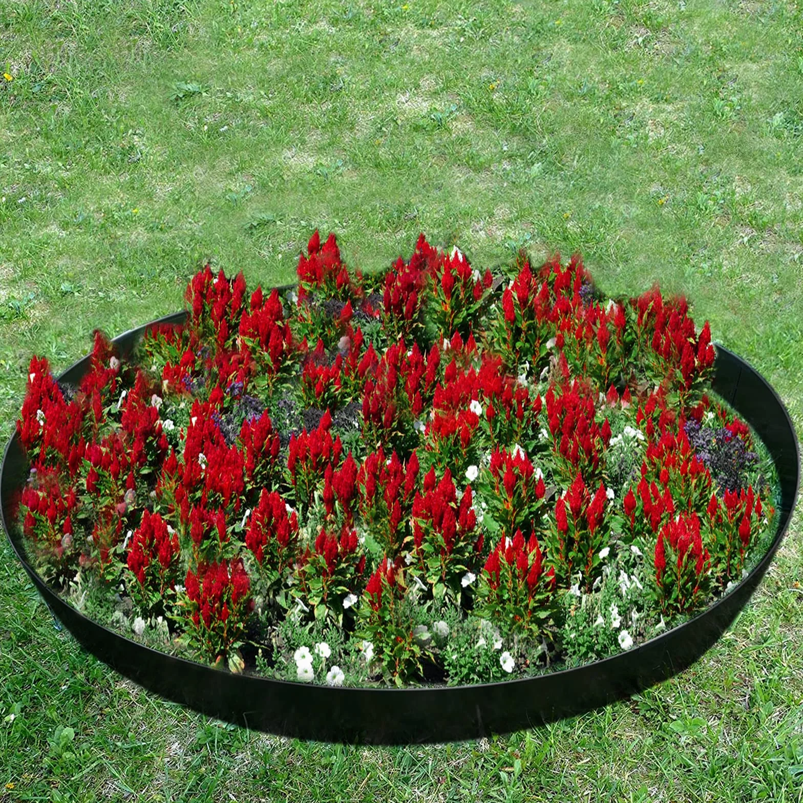 UISEBRT Krawędź trawnika, metalowa, ocynkowana, 50 m, 100 x 15 cm – 50 x obramowanie rabatki, krawędź do koszenia, palisada, czarne (długość 50 m – wysokość 15 cm)