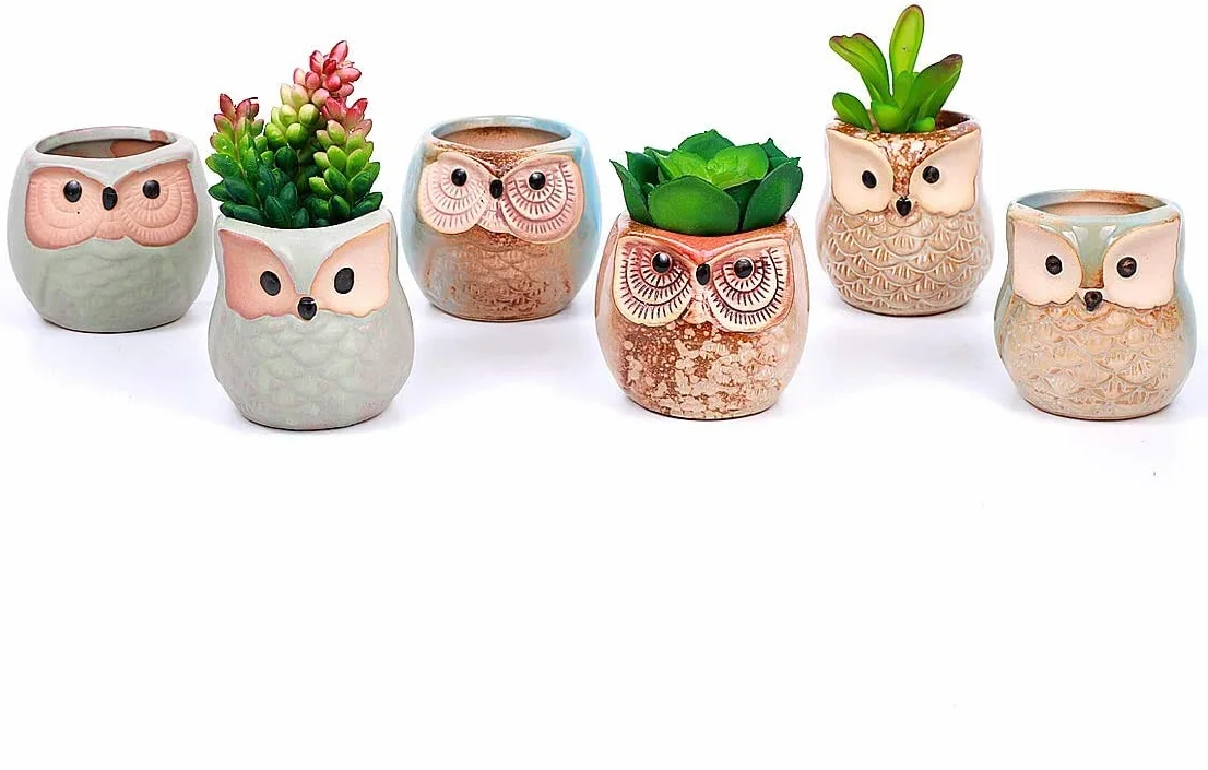 Ceramiczne doniczki z sową 6 szt. na kwiaty kaktus bonsai z otworem