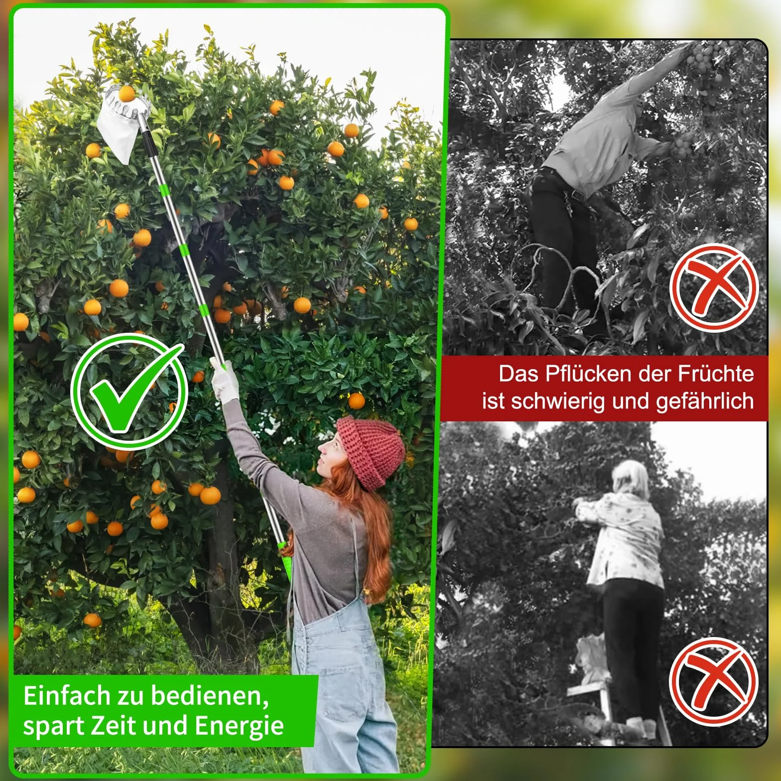Dreamtop Zbieracz do owoców 4 m teleskopowy stal szlachetna