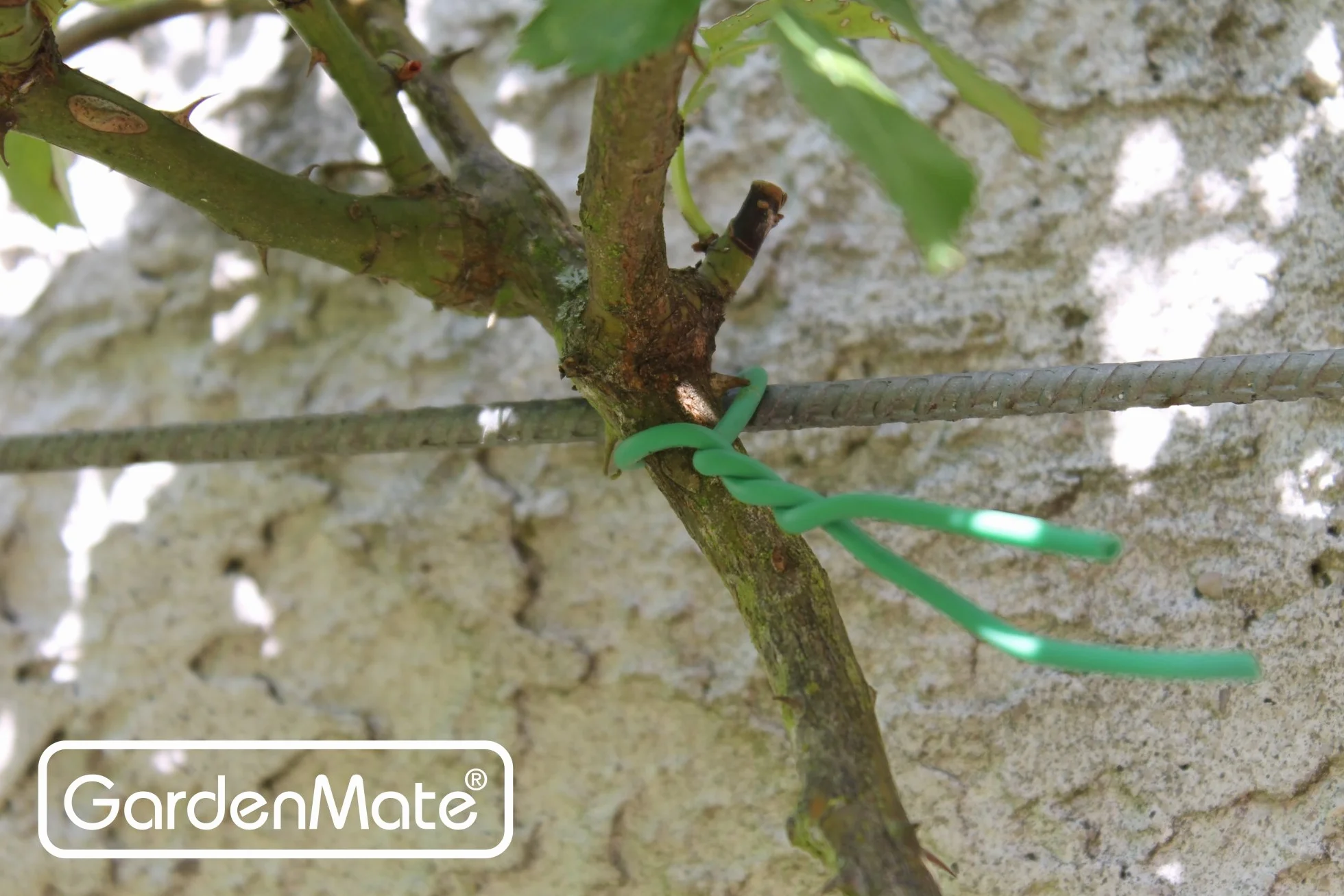 GardenMate – drut ogrodowy 2,5 mm x 10 m – z gumową osłonką z gumy spienionej