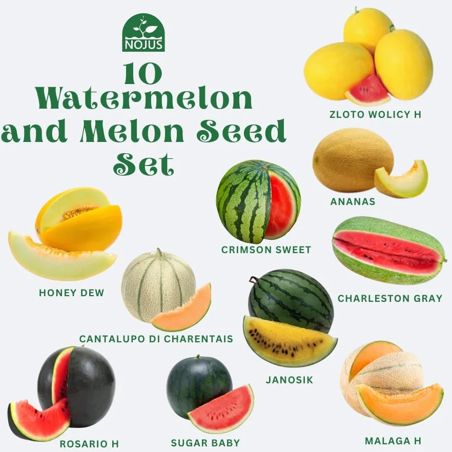 Nojus - arbuzy i melony kolekcja 10 rodzajów nasion owoców: Sugar Baby, Crimson Sweet, Honey Dew, Cantaloupe - nasiona melona i arbuza - Samodzielne uprawa arbuza i melona
