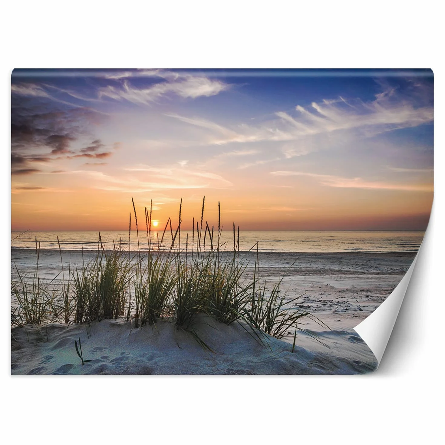 Feeby Tapeta Flizelinowa Zachód Słońca Niebo 350x245 cm Pomarańczowy Dekoracja Ścienna XXL Fototapeta do Pokoju Salonu Sypialni Spa Hotelu Biura Plaża Kępa Trawy Morze
