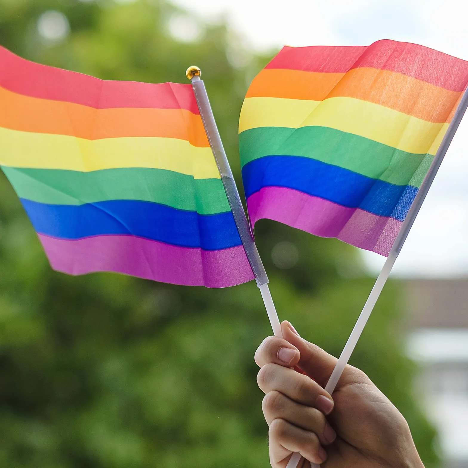 TRIXES Zestaw 15 sztuk tęczowych flag machających LGBTQ+ Pride NHS banery z patyczkami 20x28 cm