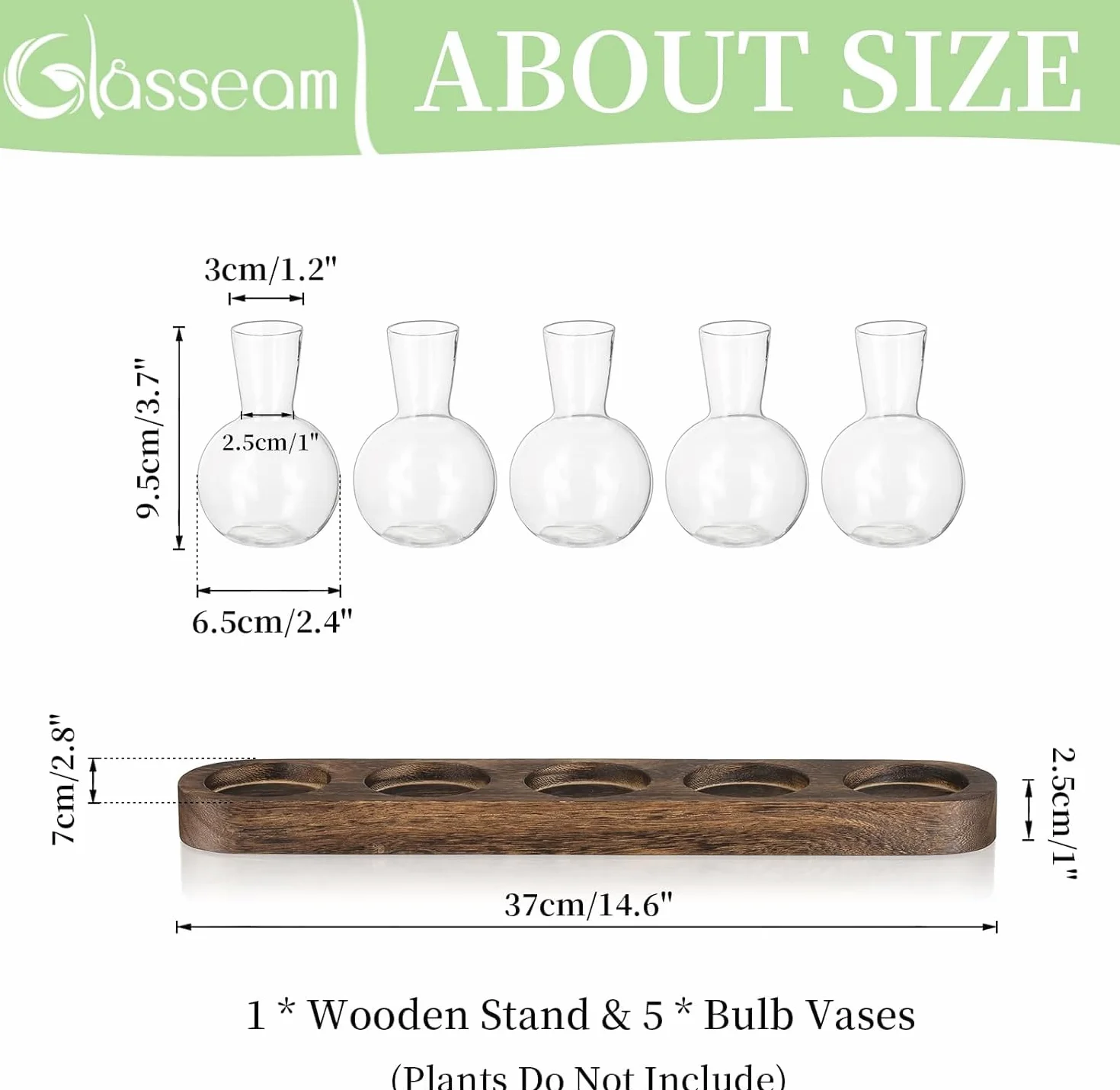 Glasseam Stacja do Rozmnażania Terrarium na Rośliny, Szklany Wazon z Drewnianą Tacą, Nowoczesny do Salonu, Biura, Kwiaty, Hydroponika, Cięcie Roślin
