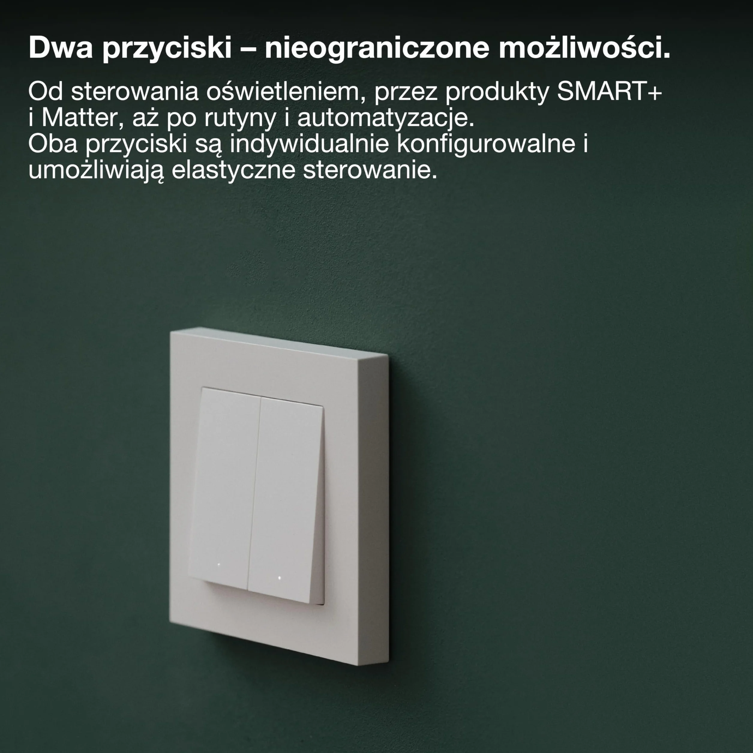 SMART+ WIFI MATTER WALL SWITCH 2 Channel